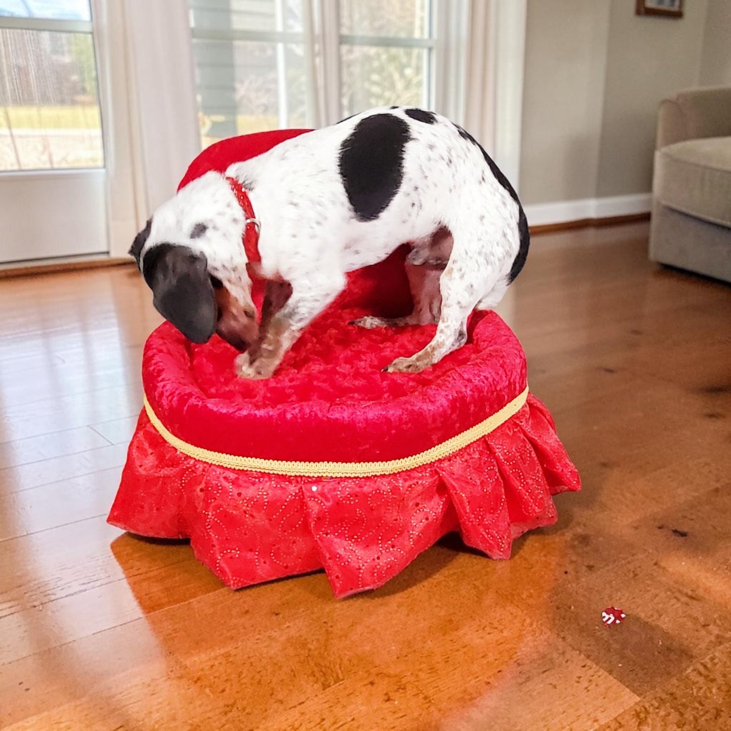 Royalty pet bed, velvet pet bed, royalty pet furniture, luxury red round pet bed