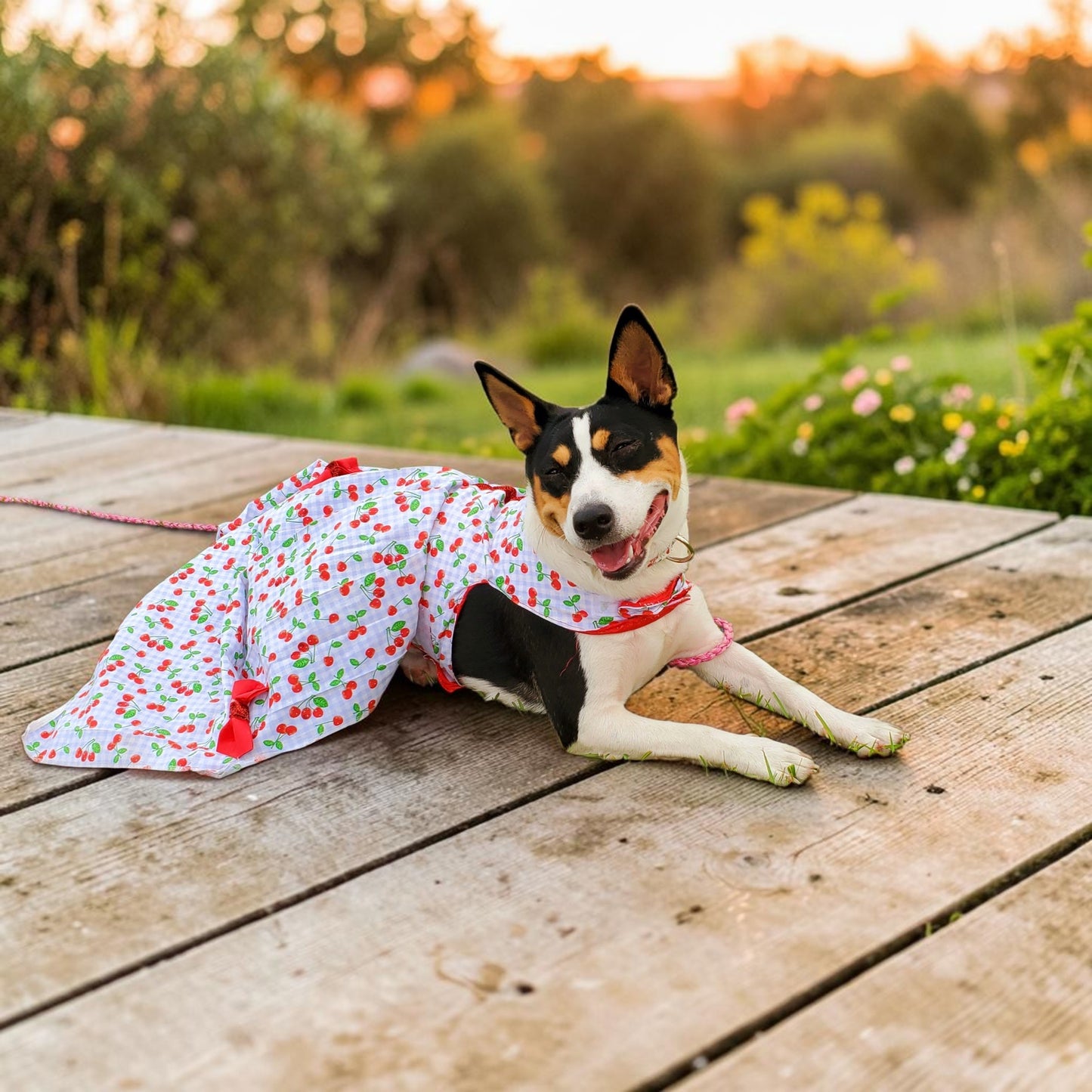 cherry dog Cherry pet dress, cherry cat dress, fruit pet dress, dog dresses, pet dress with cherries, dog dress with cherries