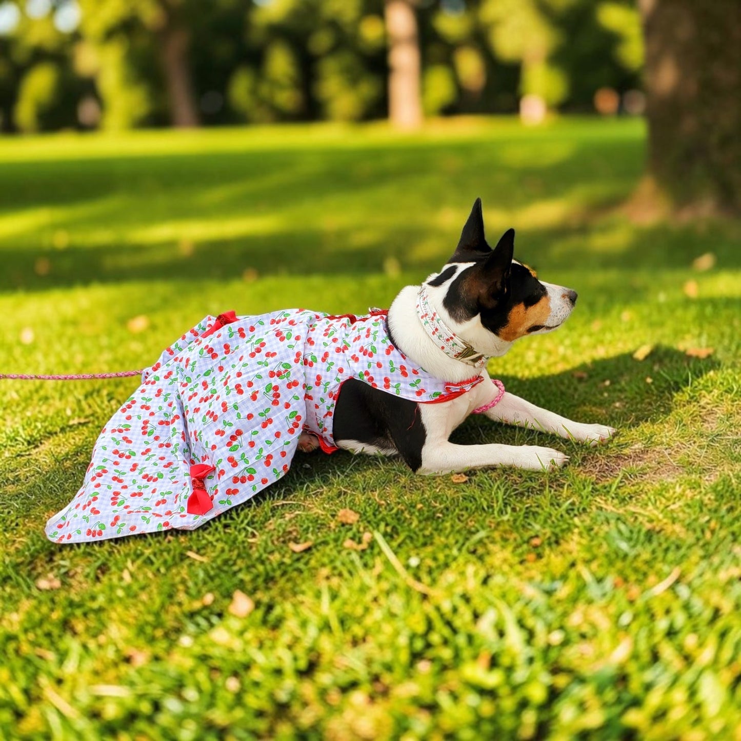 cherry dog Cherry pet dress, cherry cat dress, fruit pet dress, dog dresses, pet dress with cherries, dog dress with cherries