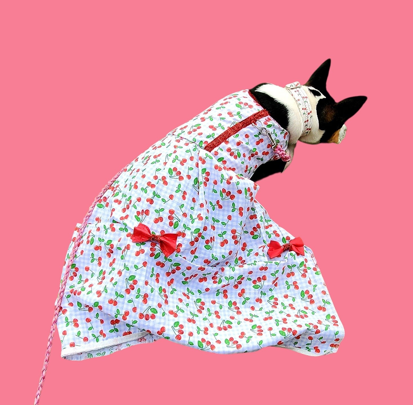 cherry dog Cherry pet dress, cherry cat dress, fruit pet dress, dog dresses, pet dress with cherries, dog dress with cherries