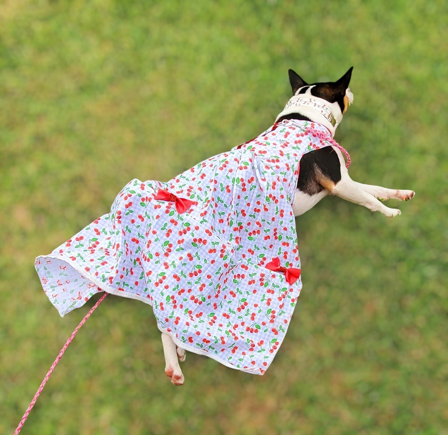 cherry dog Cherry pet dress, cherry cat dress, fruit pet dress, dog dresses, pet dress with cherries, dog dress with cherries