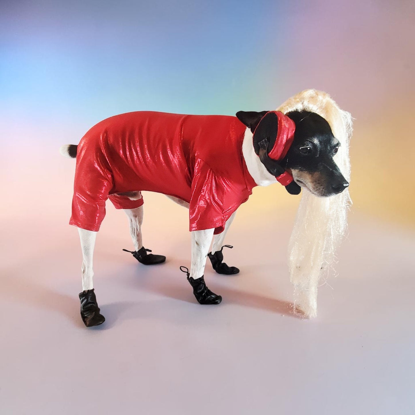 Pop Singer Britney Pet costume, Oops I did again pet costume, Britney Spears inspired pet costume
