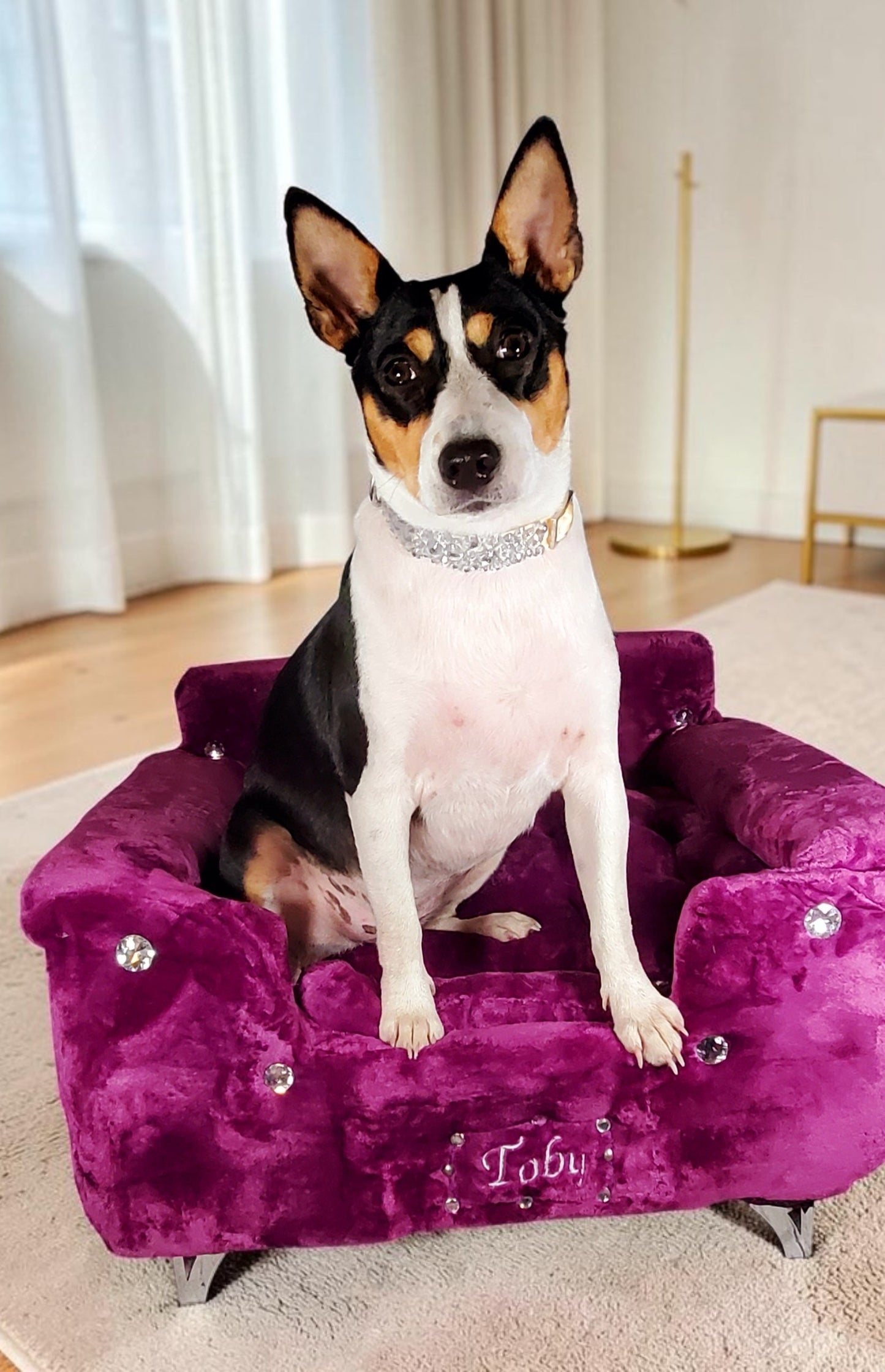 Princess luxury pet bed, personalized pet bed, princess dog bed