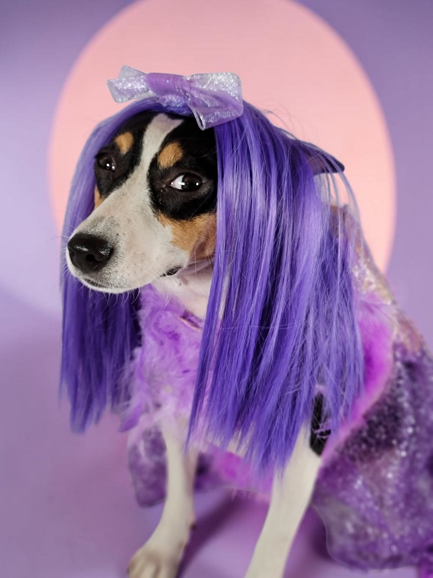 Kylie Jenner Met Gala pet costume, Kylie Jenner purple feather pet costume, met gala pet costume
