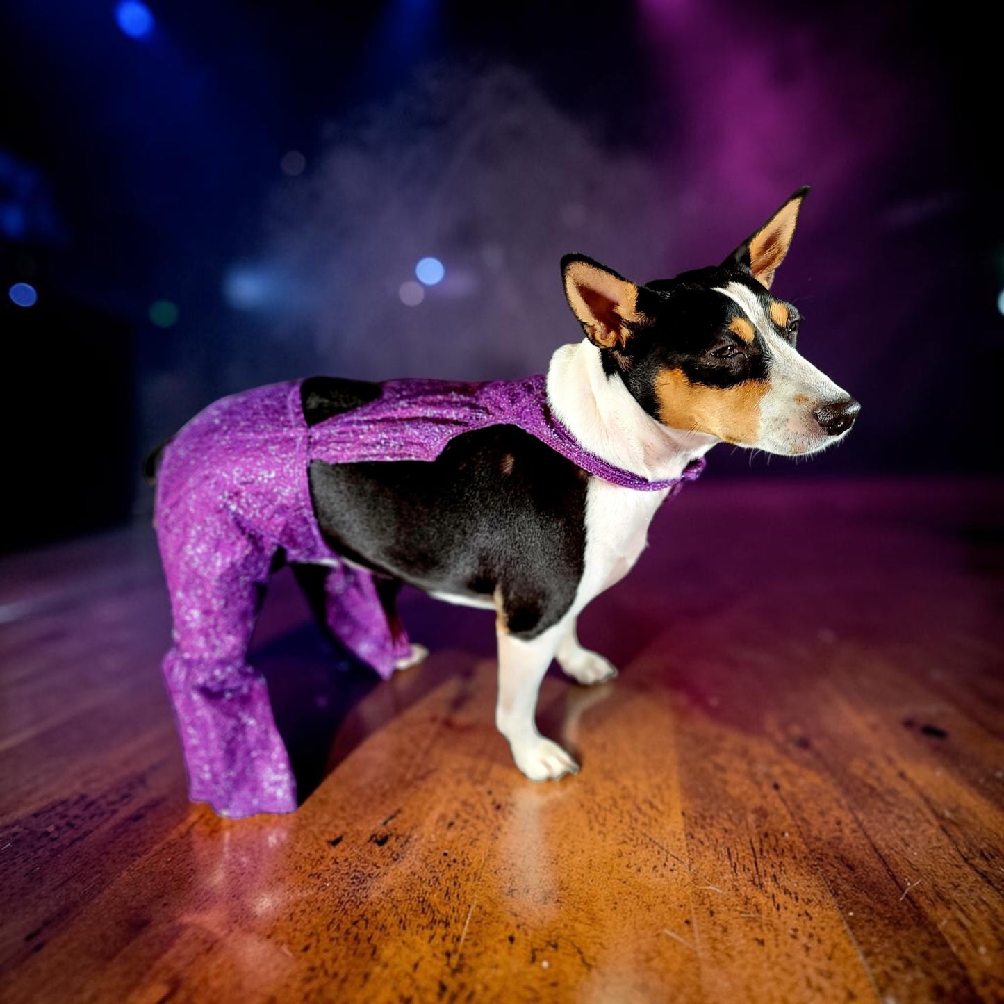 Selena replica Pet Costume, Selena Dog costume, Selena Iconic purple pet costume, Selena purple jumpsuit pet dog cat costume, wig selena