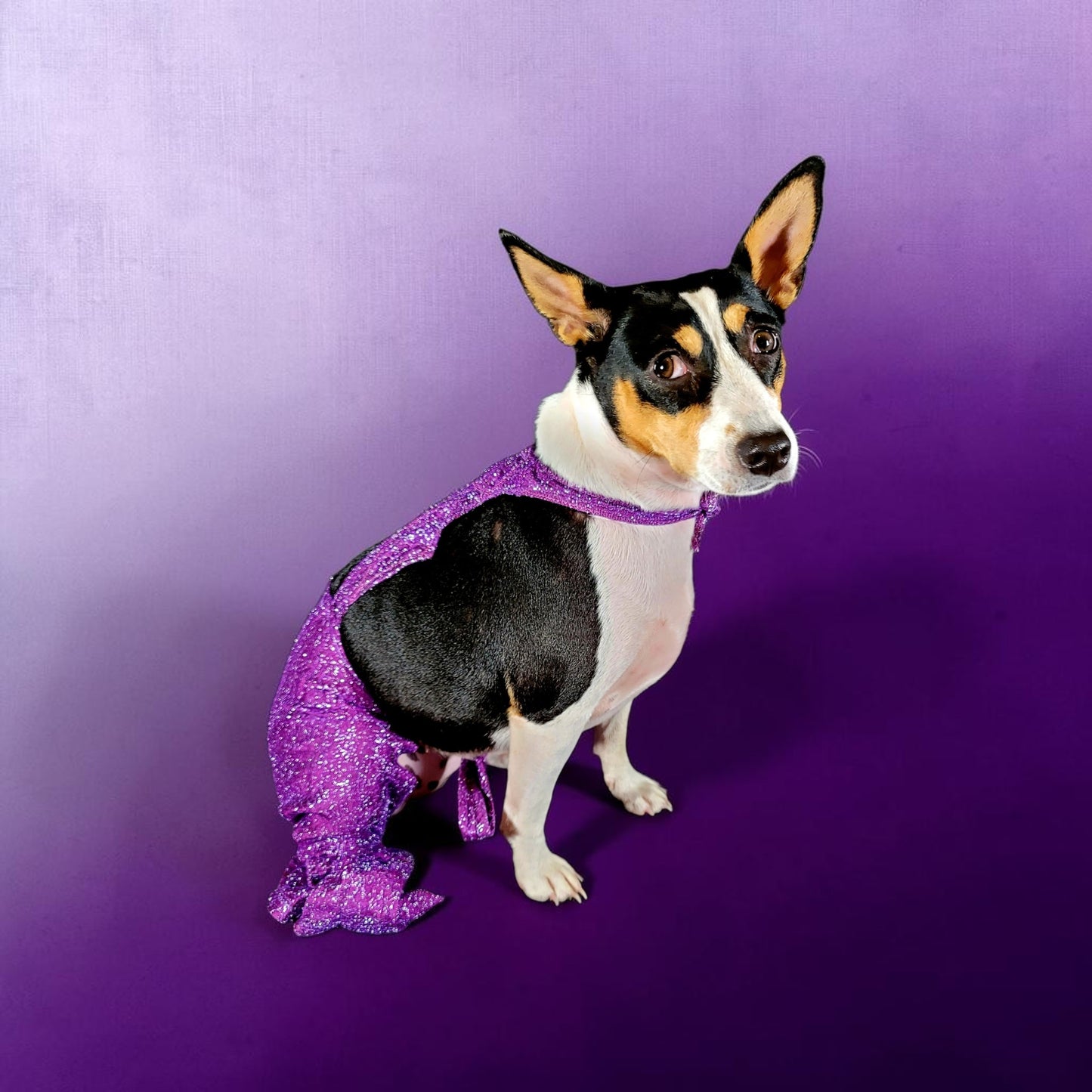 Selena replica Pet Costume, Selena Dog costume, Selena Iconic purple pet costume, Selena purple jumpsuit pet dog cat costume, wig selena