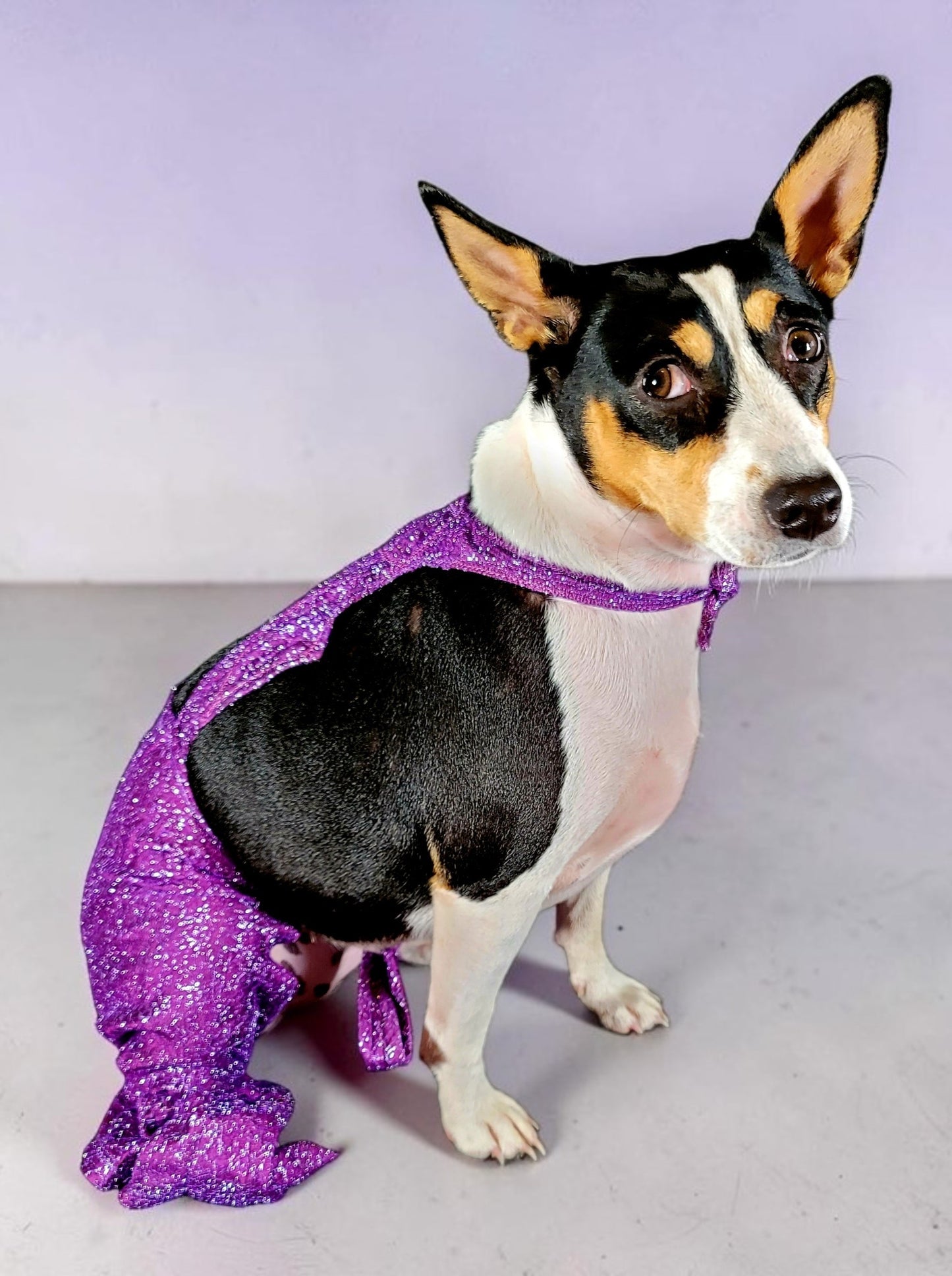 Selena replica Pet Costume, Selena Dog costume, Selena Iconic purple pet costume, Selena purple jumpsuit pet dog cat costume, wig selena
