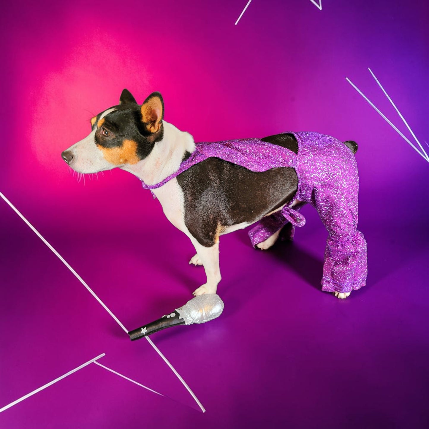 Selena replica Pet Costume, Selena Dog costume, Selena Iconic purple pet costume, Selena purple jumpsuit pet dog cat costume, wig selena
