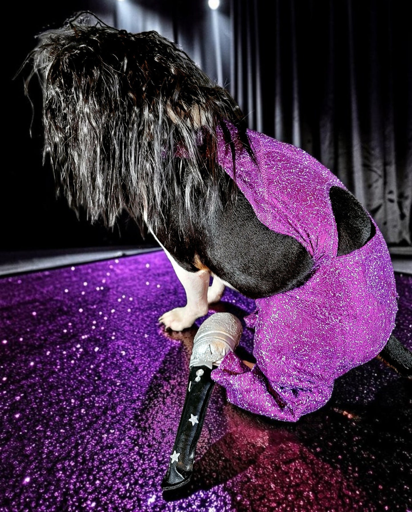 Selena replica Pet Costume, Selena Dog costume, Selena Iconic purple pet costume, Selena purple jumpsuit pet dog cat costume, wig selena