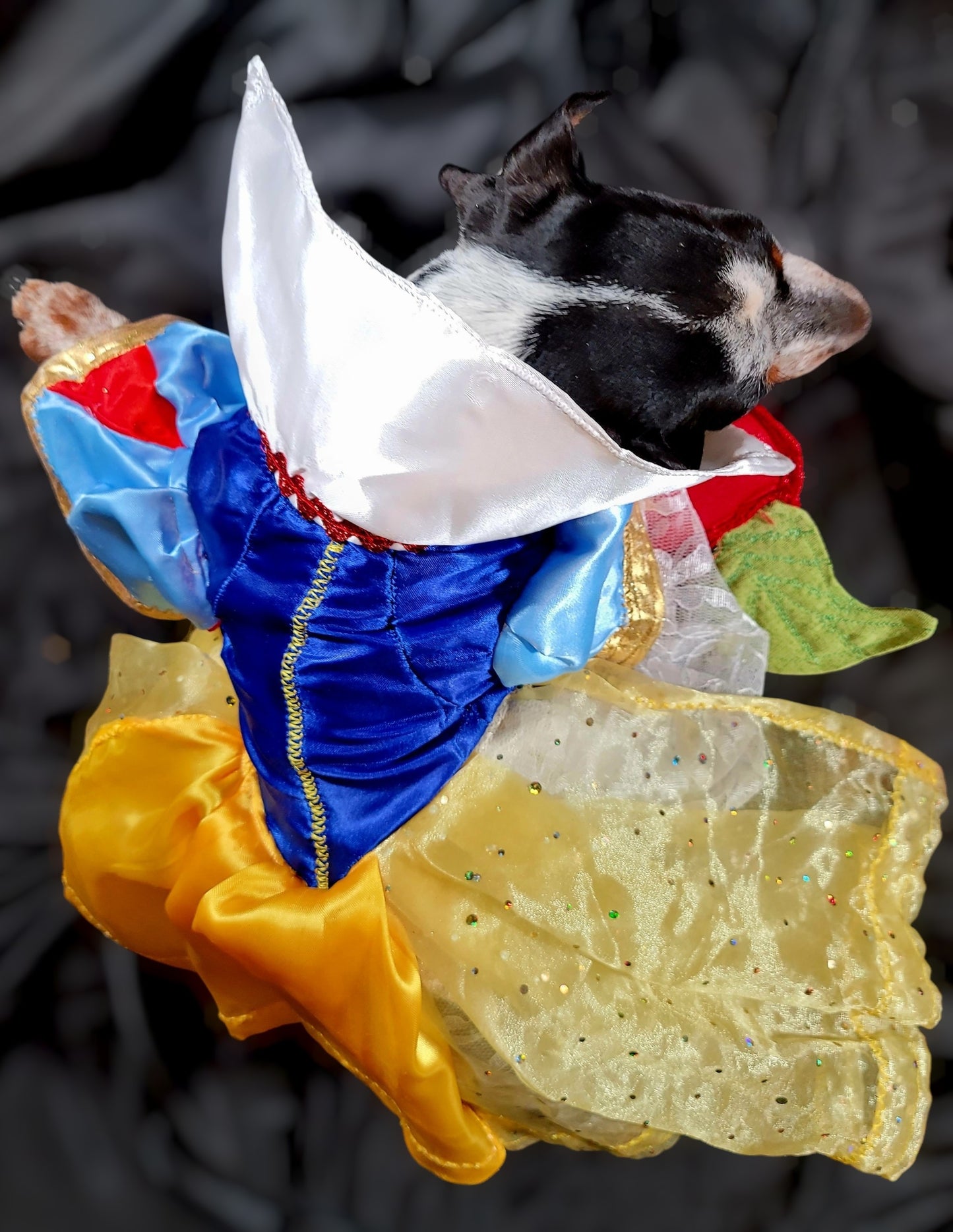 Snow White Pet Costume, Snow White Dog Costume, Snow White Cat Costume