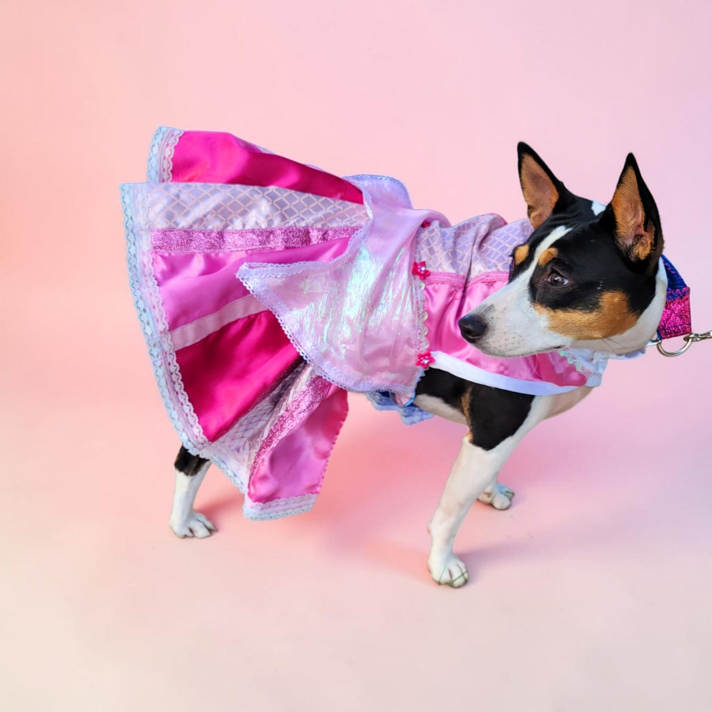 Sleeping Beauty revisable pet costume, Princess Aurora pet costume, Blue Sleeping Beauty Pet, Pink Sleeping Beauty pet