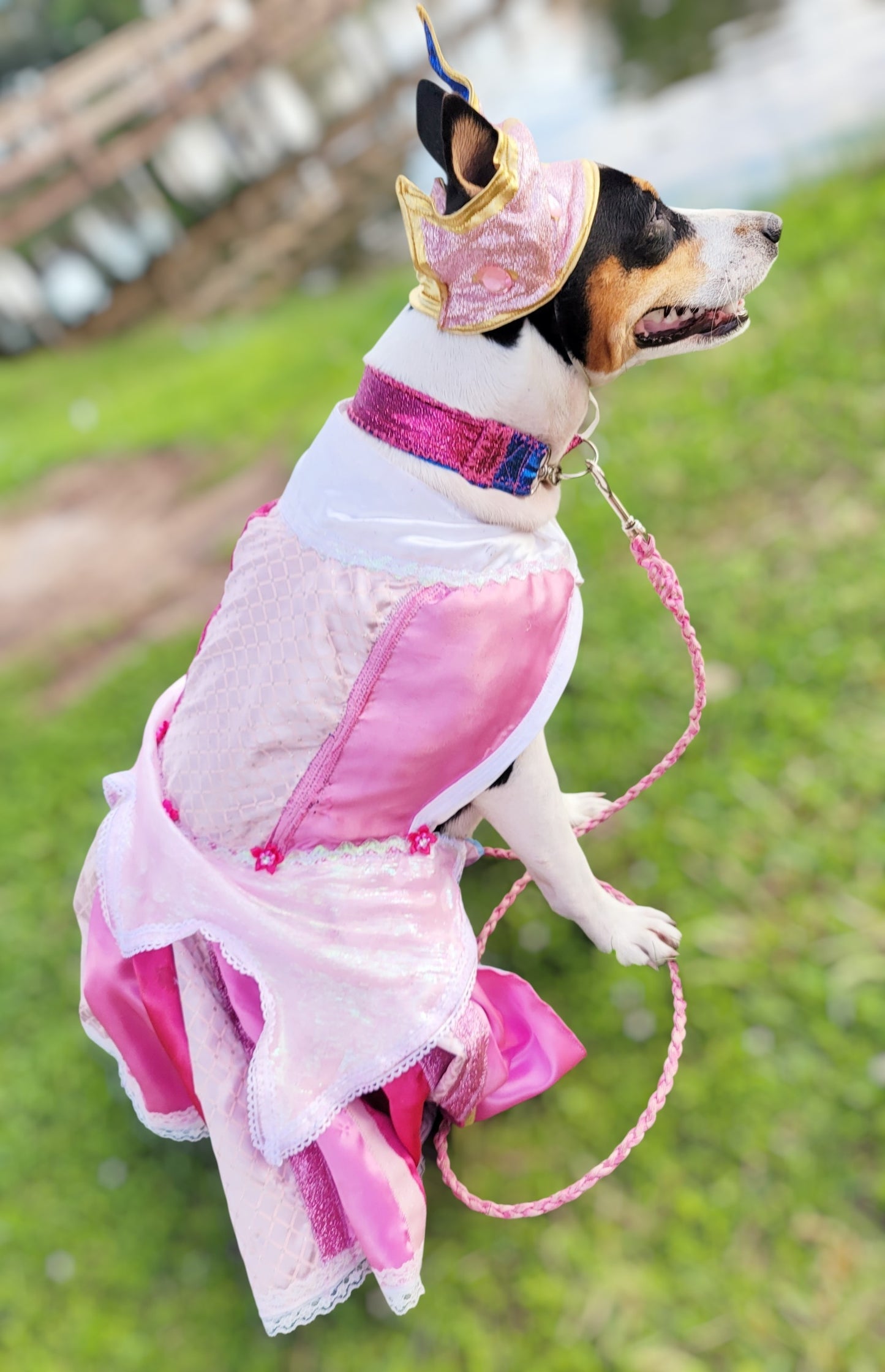 Sleeping Beauty revisable pet costume, Princess Aurora pet costume, Blue Sleeping Beauty Pet, Pink Sleeping Beauty pet