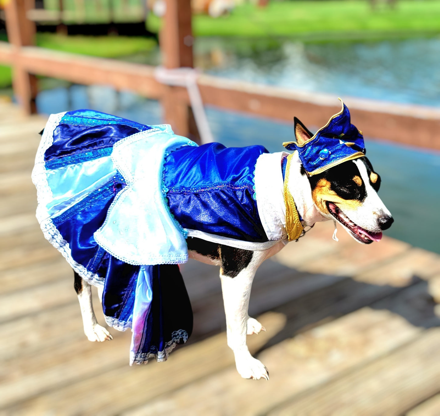 Sleeping Beauty revisable pet costume, Princess Aurora pet costume, Blue Sleeping Beauty Pet, Pink Sleeping Beauty pet