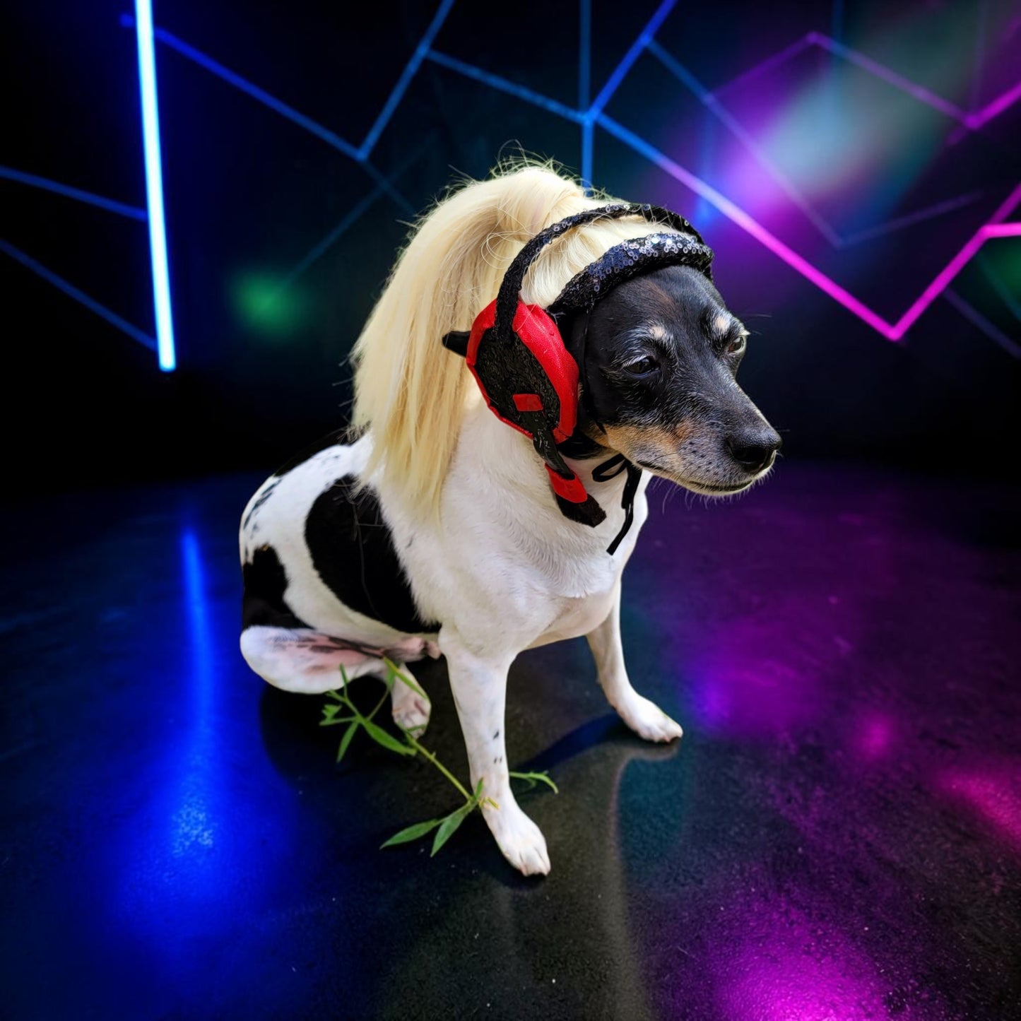Pop Singer Britney Pet costume, Oops I did again pet costume, Britney Spears inspired pet costume