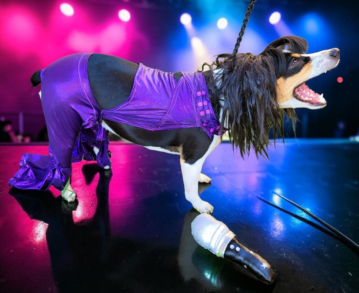 Selena replica Pet Costume, Selena Dog costume, Selena Iconic purple pet costume, Selena purple jumpsuit pet dog cat costume, wig selena