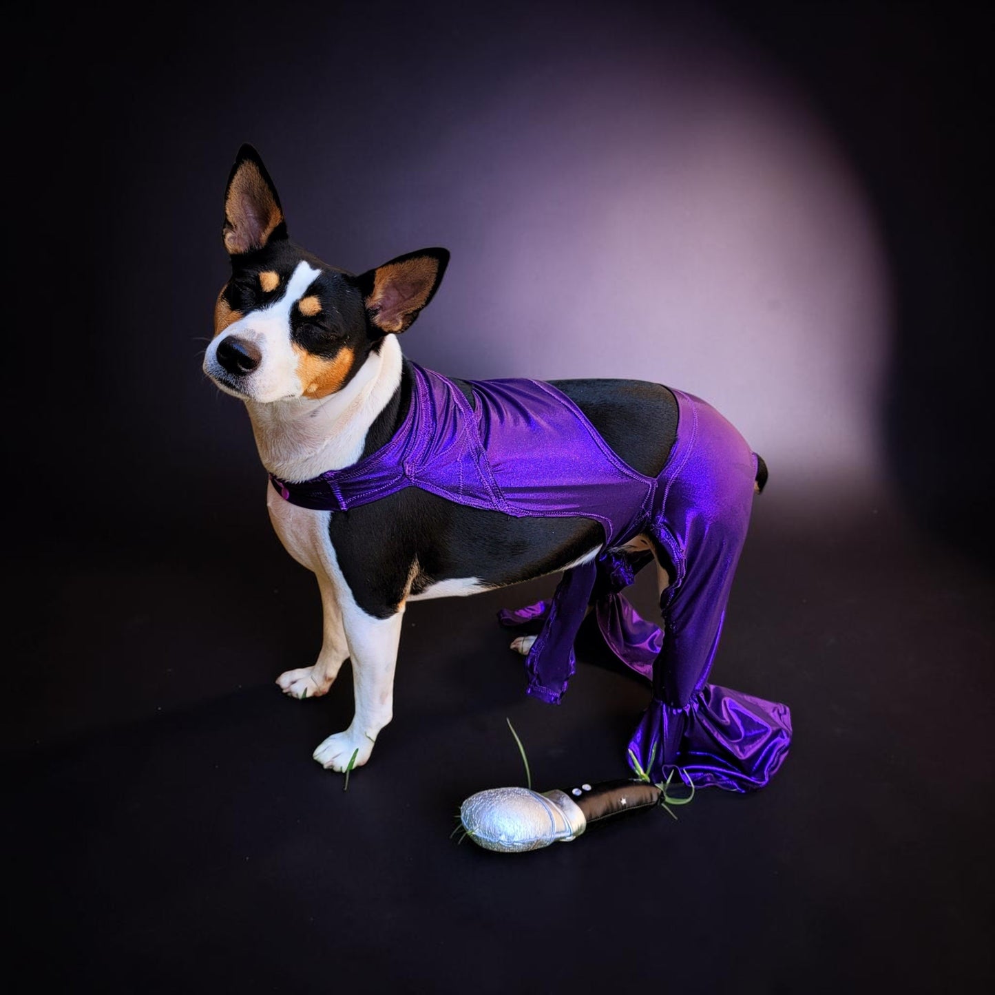 Selena replica Pet Costume, Selena Dog costume, Selena Iconic purple pet costume, Selena purple jumpsuit pet dog cat costume, wig selena