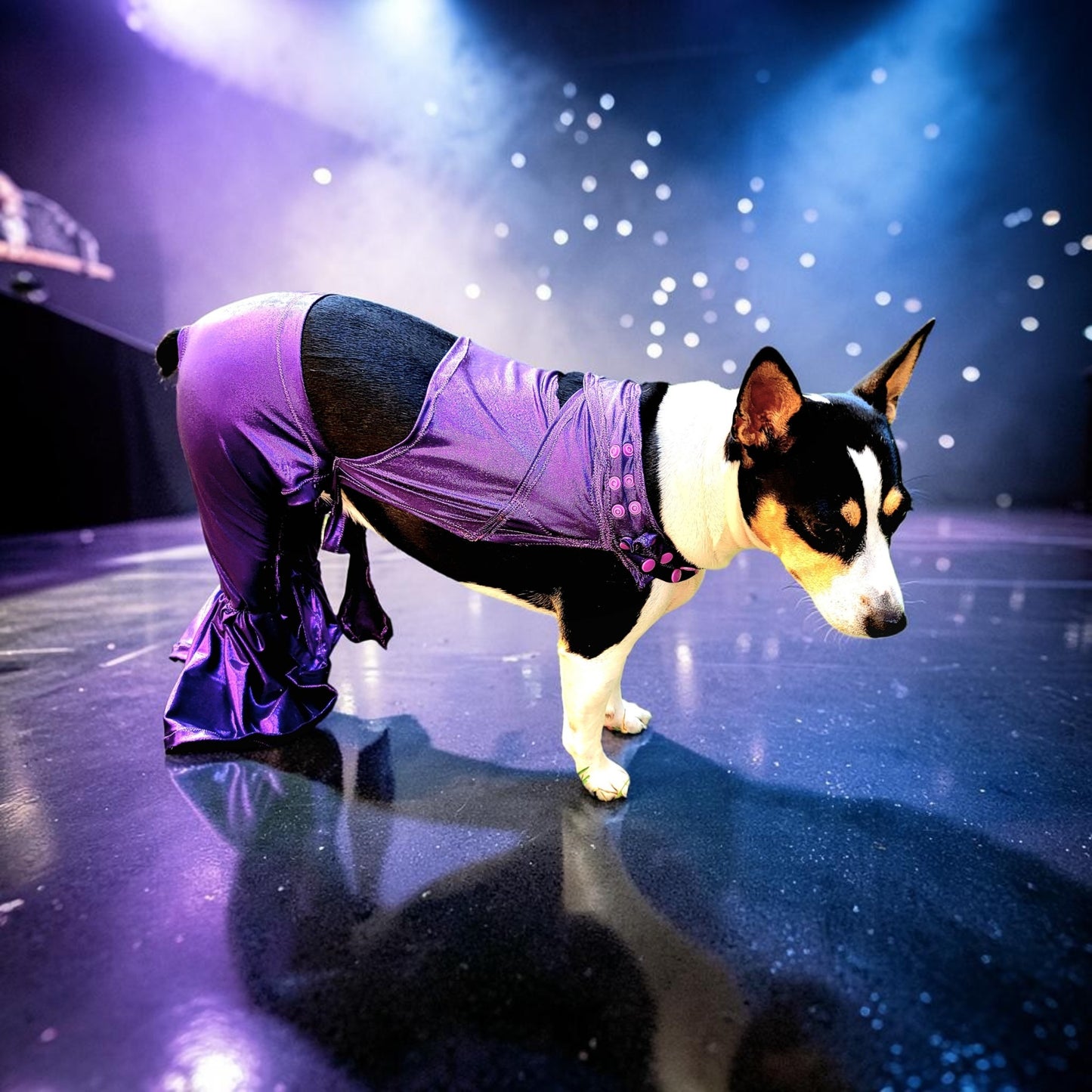 Selena replica Pet Costume, Selena Dog costume, Selena Iconic purple pet costume, Selena purple jumpsuit pet dog cat costume, wig selena