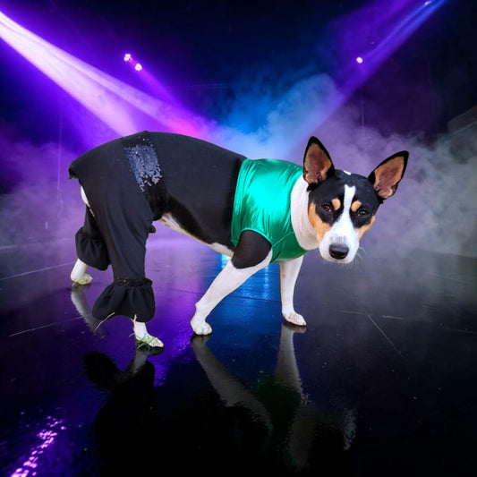 Britney Spears pet costume replica, Britney 'crazy' pet costume, Britney Green pet costume, Britney dog costume, Britney spears cat costume