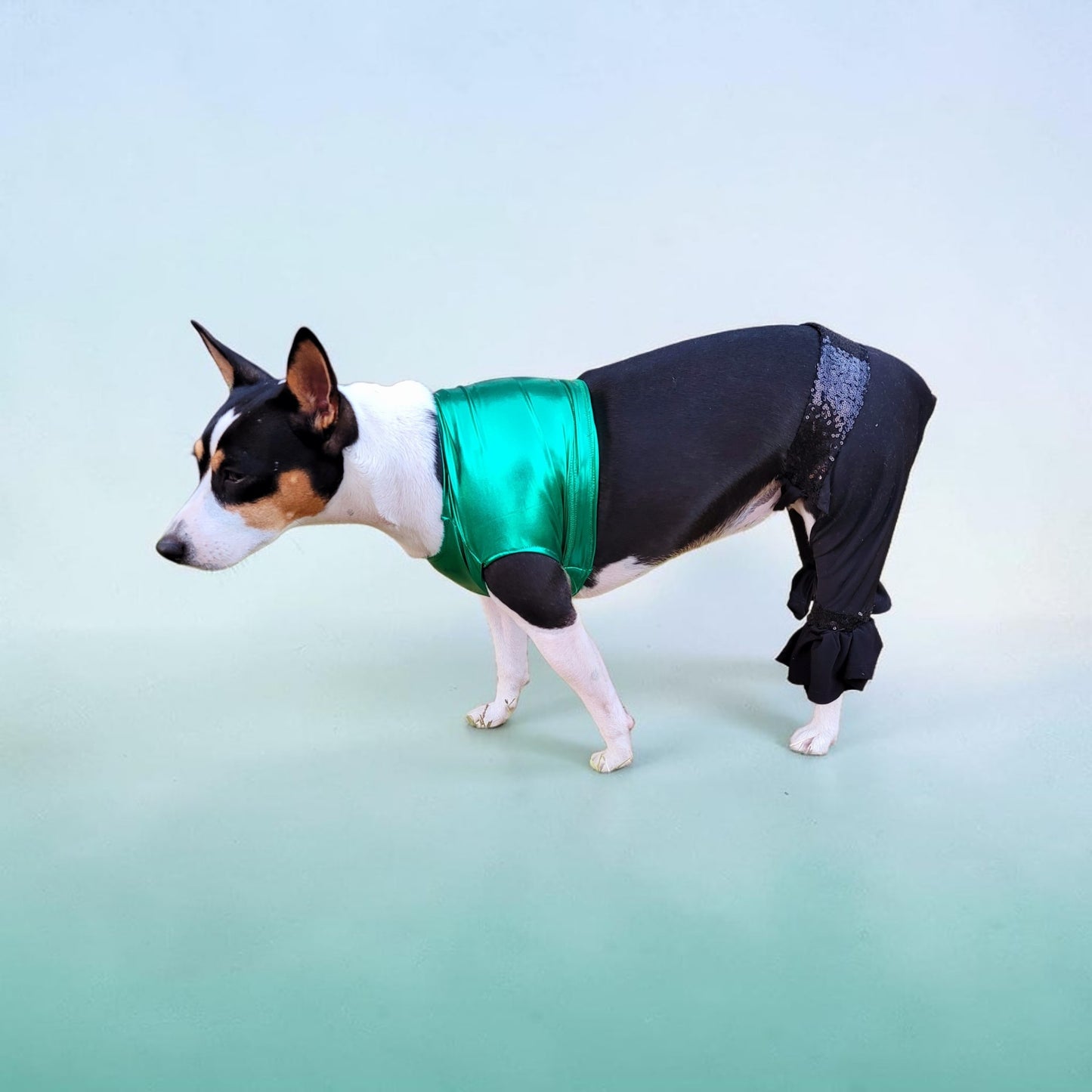 Britney Spears pet costume replica, Britney 'crazy' pet costume, Britney Green pet costume, Britney dog costume, Britney spears cat costume