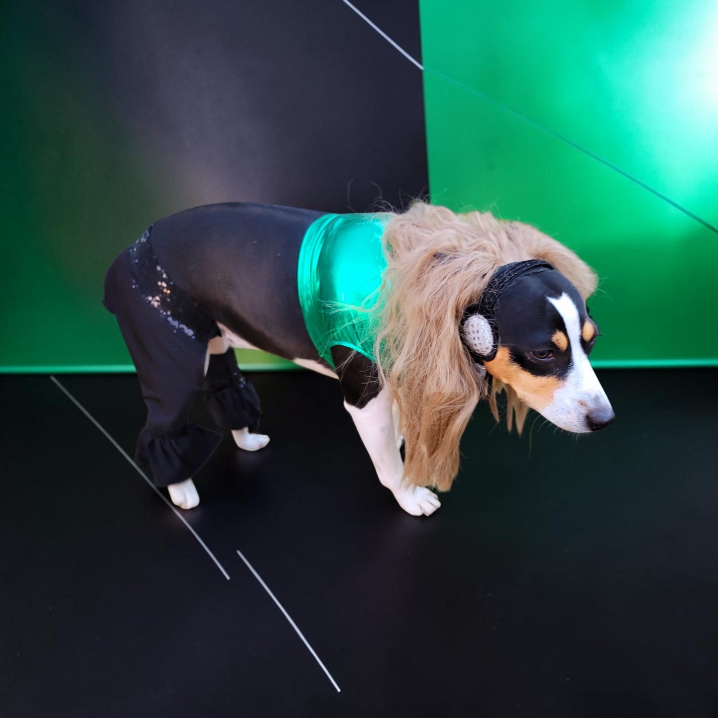 Britney Spears pet costume replica, Britney 'crazy' pet costume, Britney Green pet costume, Britney dog costume, Britney spears cat costume