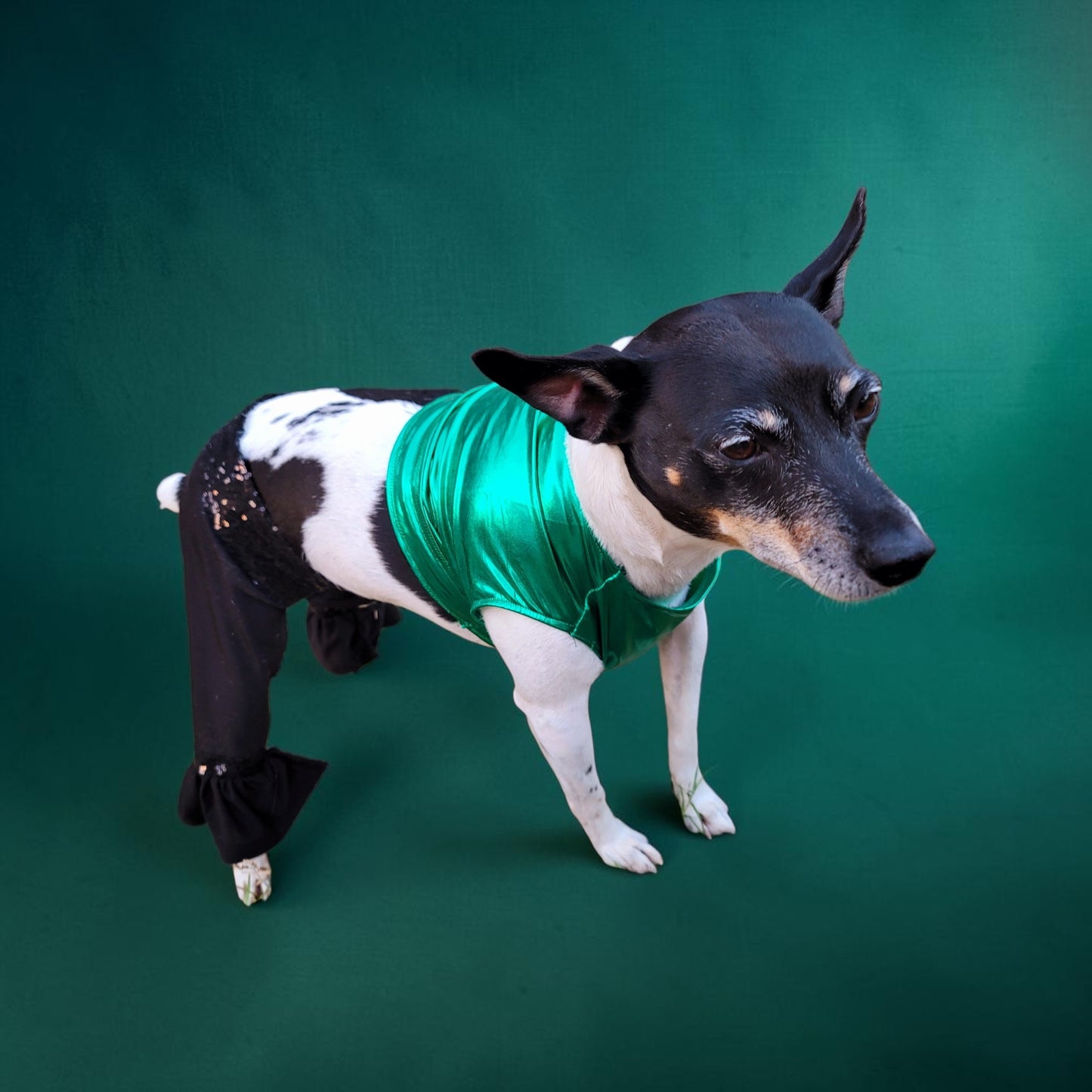 Britney Spears pet costume replica, Britney 'crazy' pet costume, Britney Green pet costume, Britney dog costume, Britney spears cat costume