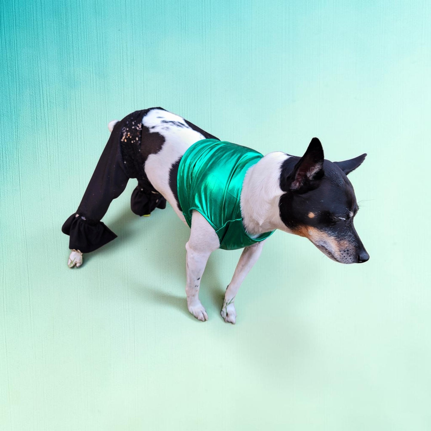 Britney Spears pet costume replica, Britney 'crazy' pet costume, Britney Green pet costume, Britney dog costume, Britney spears cat costume