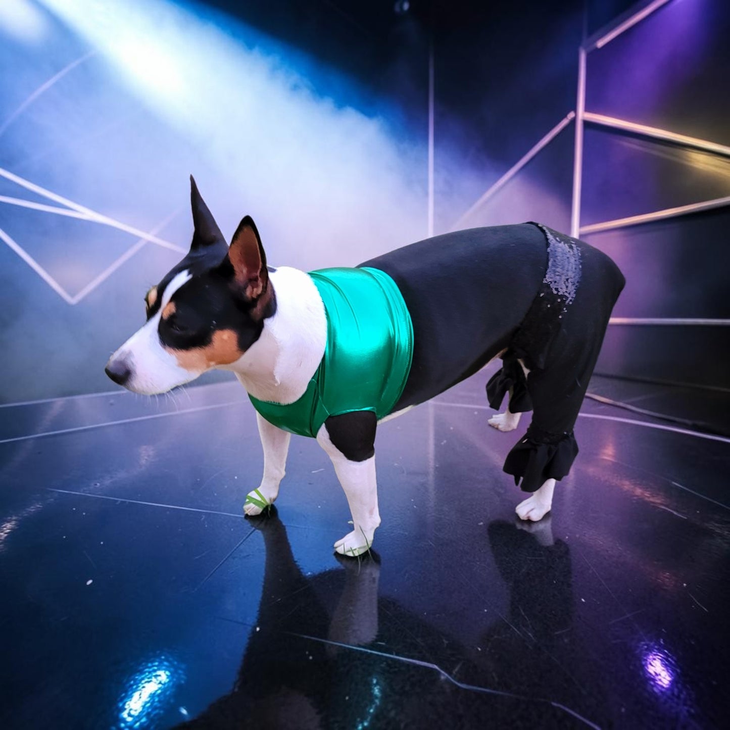 Britney Spears pet costume replica, Britney 'crazy' pet costume, Britney Green pet costume, Britney dog costume, Britney spears cat costume