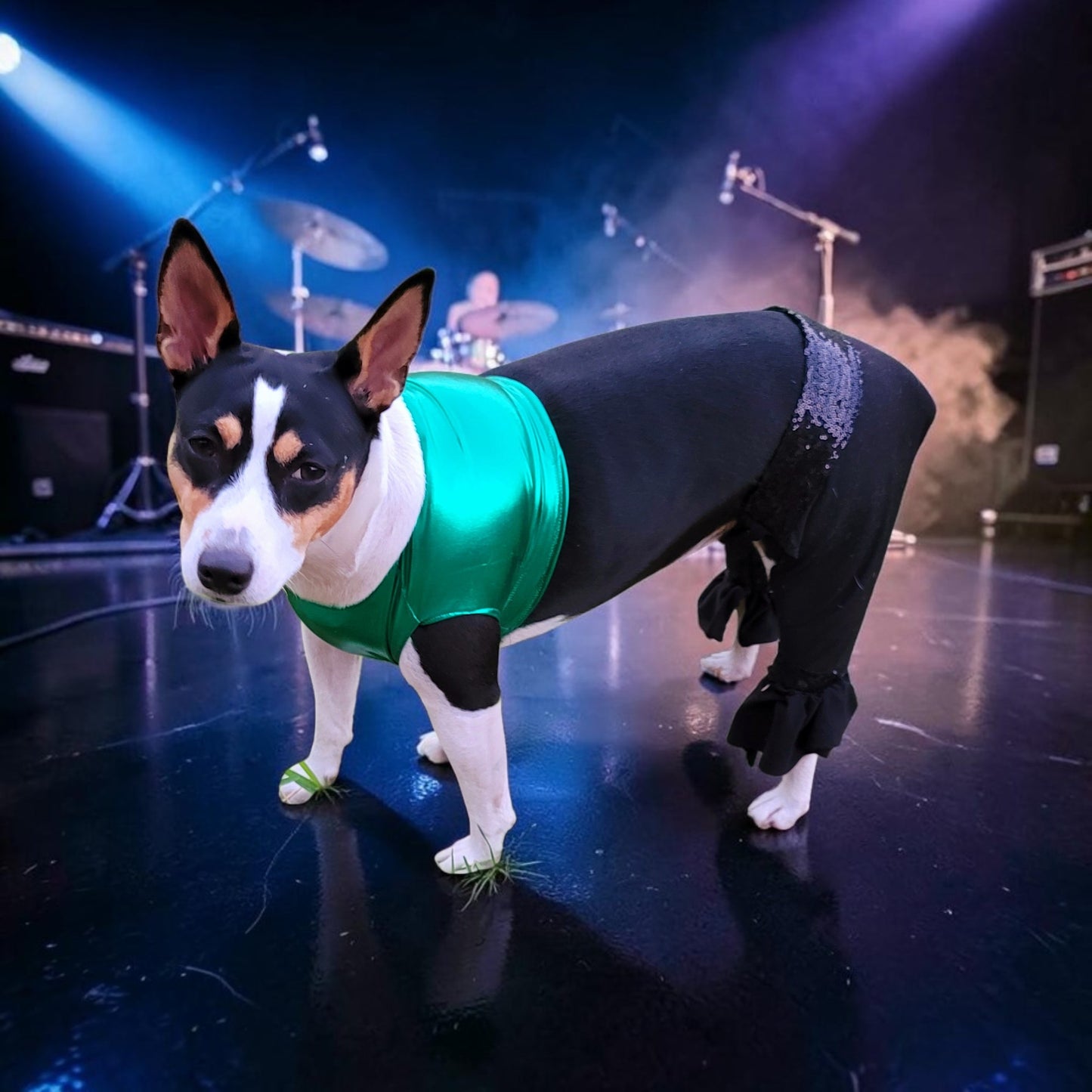 Britney Spears pet costume replica, Britney 'crazy' pet costume, Britney Green pet costume, Britney dog costume, Britney spears cat costume