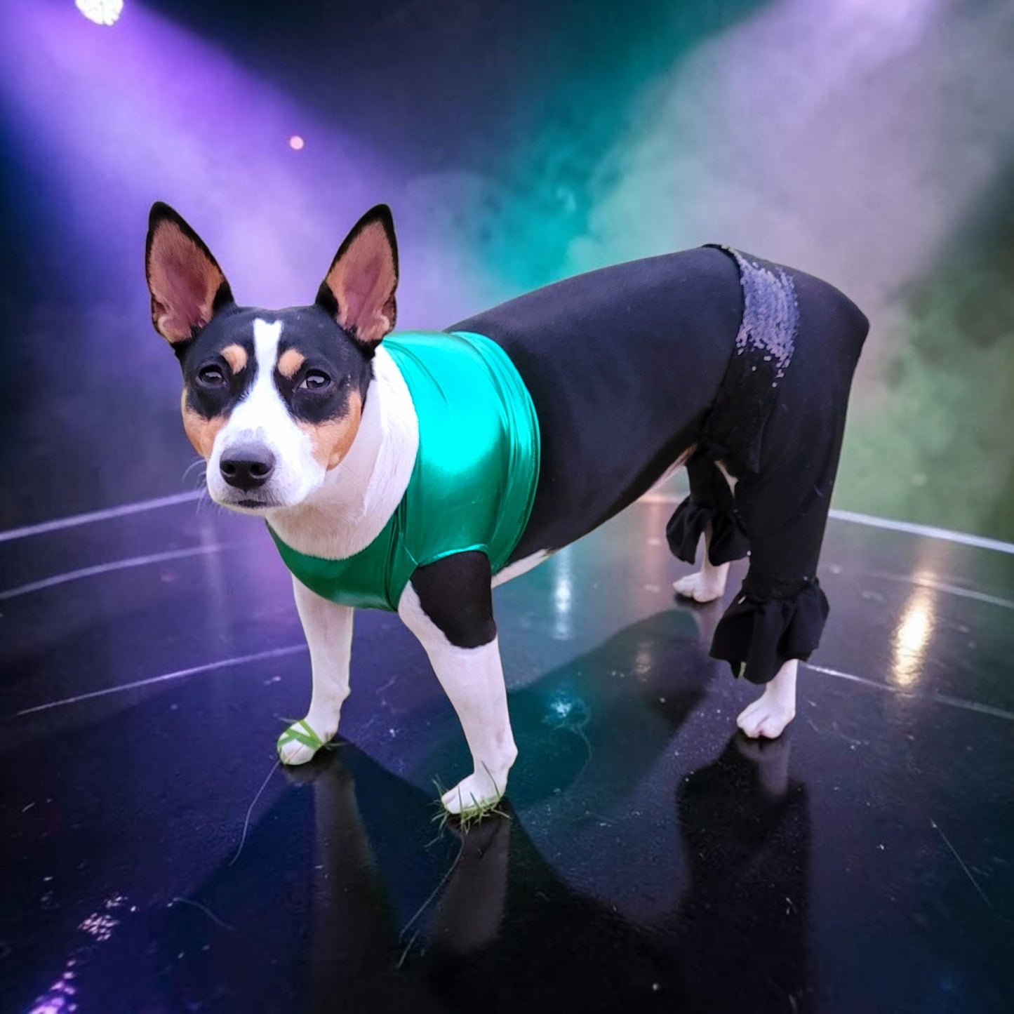 Britney Spears pet costume replica, Britney 'crazy' pet costume, Britney Green pet costume, Britney dog costume, Britney spears cat costume
