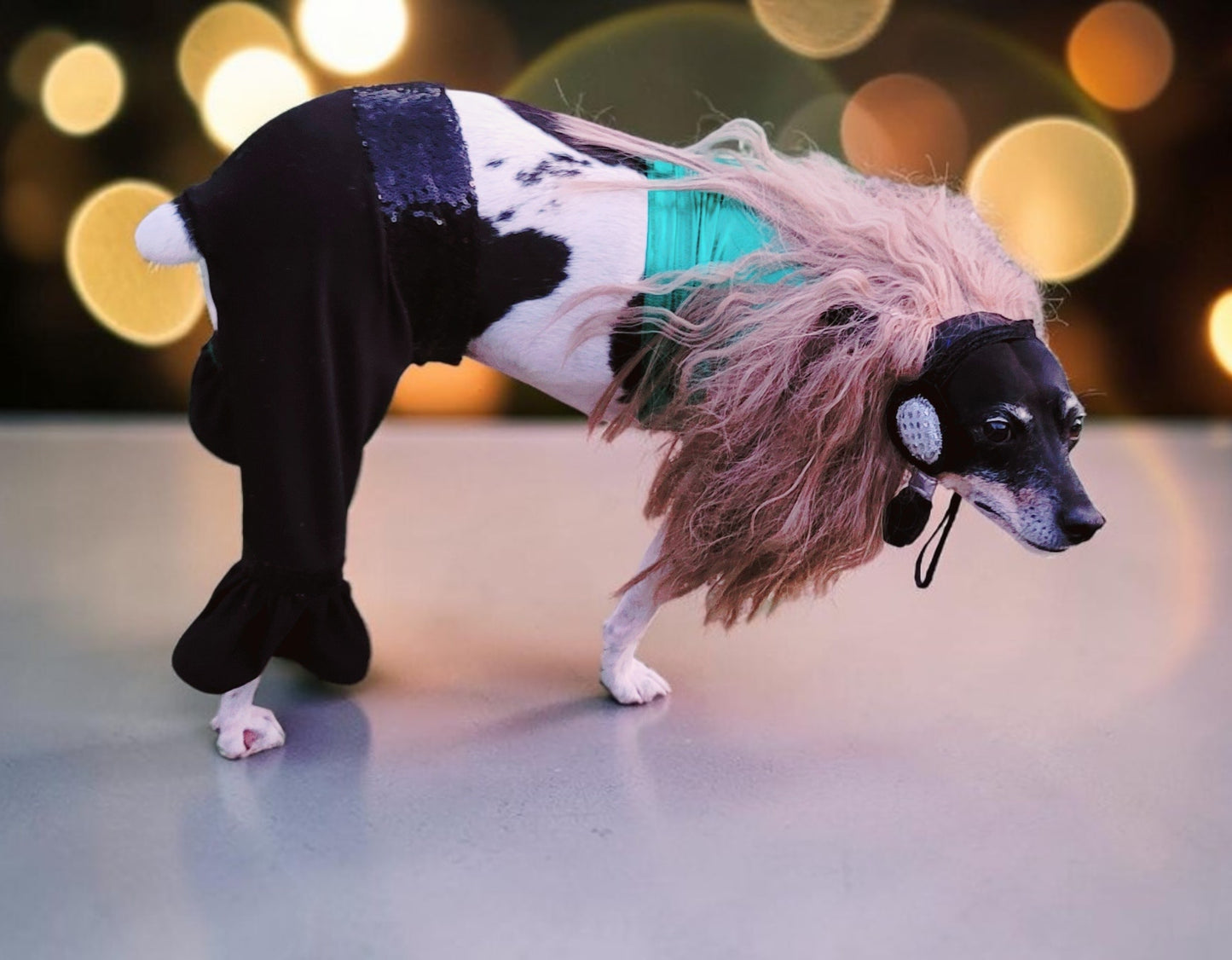 Britney Spears pet costume replica, Britney 'crazy' pet costume, Britney Green pet costume, Britney dog costume, Britney spears cat costume