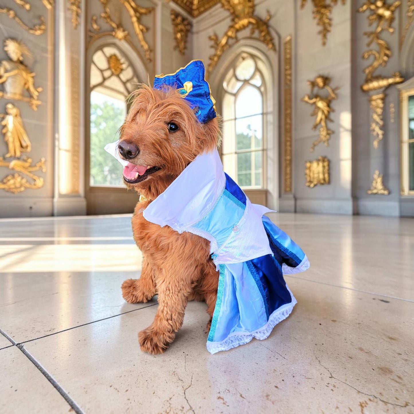 Sleeping Beauty revisable pet costume, Princess Aurora pet costume, Blue Sleeping Beauty Pet, Pink Sleeping Beauty pet