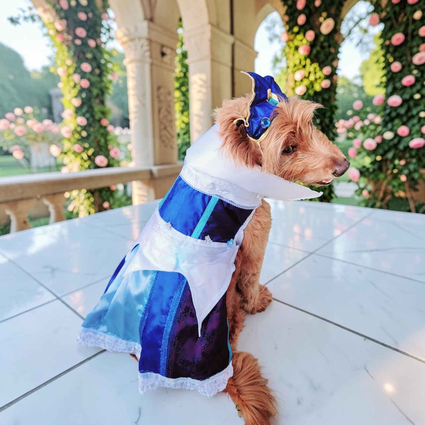 Sleeping Beauty revisable pet costume, Princess Aurora pet costume, Blue Sleeping Beauty Pet, Pink Sleeping Beauty pet