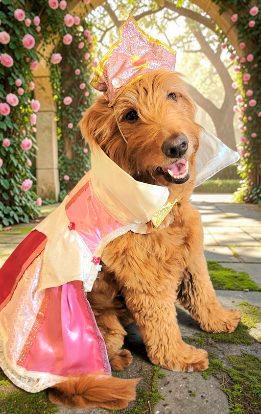 Sleeping Beauty revisable pet costume, Princess Aurora pet costume, Blue Sleeping Beauty Pet, Pink Sleeping Beauty pet