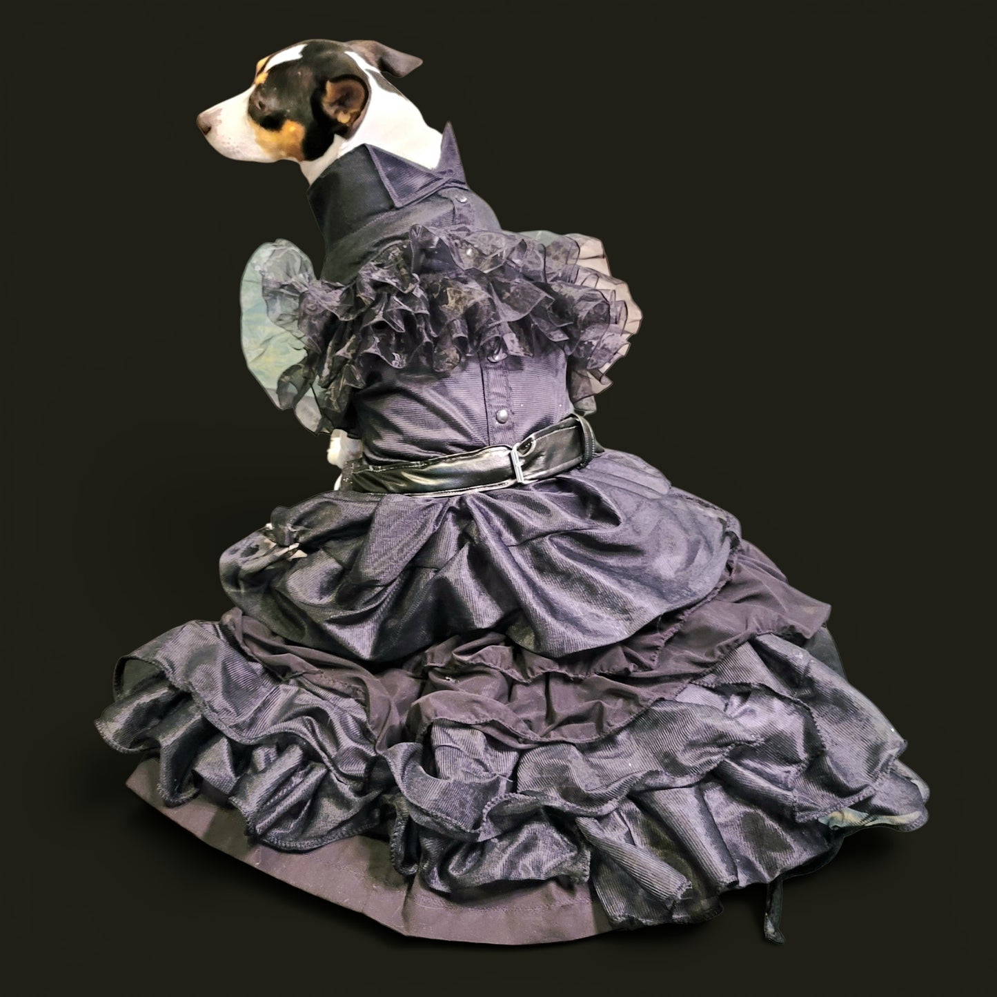 Wednesday Raven Pet Prom dress, Wednesday Pet Costume, Wednesday Raven Dog dress