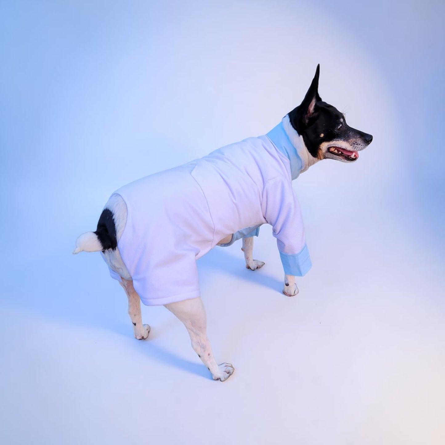 Tyler Pet Costume, Tyler Wednesday dog suit, Raven Pet Suit, Prom Pet Suit, prom dog suit, white Pet suit, wedding Pet suit, suit for pets