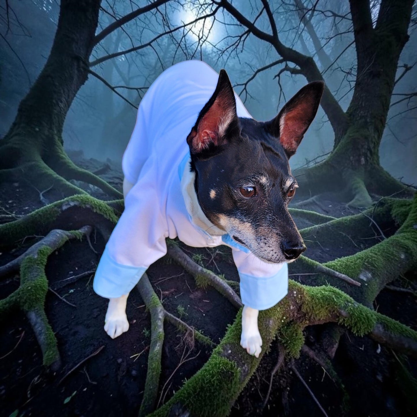 Tyler Pet Costume, Tyler Wednesday dog suit, Raven Pet Suit, Prom Pet Suit, prom dog suit, white Pet suit, wedding Pet suit, suit for pets