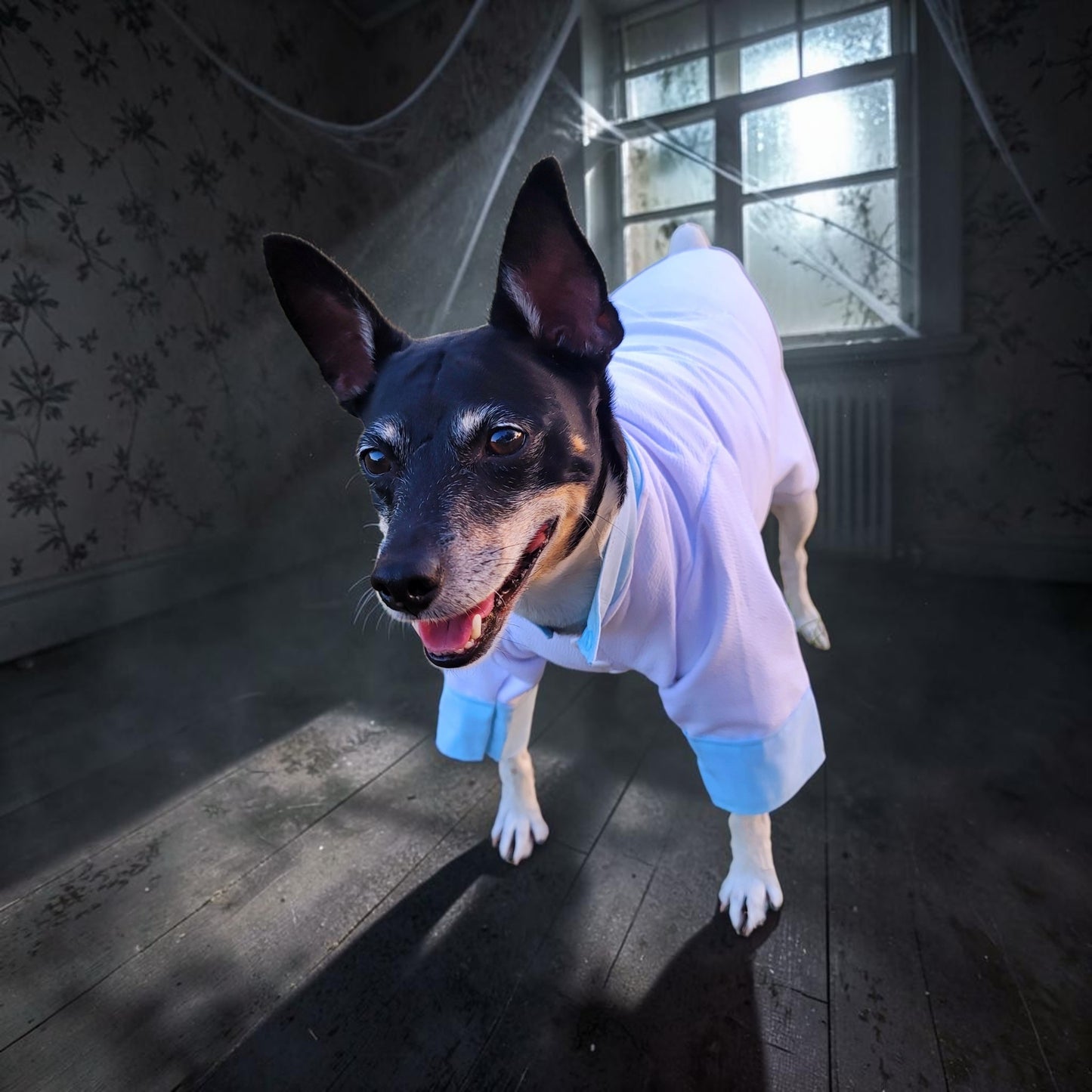 Tyler Pet Costume, Tyler Wednesday dog suit, Raven Pet Suit, Prom Pet Suit, prom dog suit, white Pet suit, wedding Pet suit, suit for pets