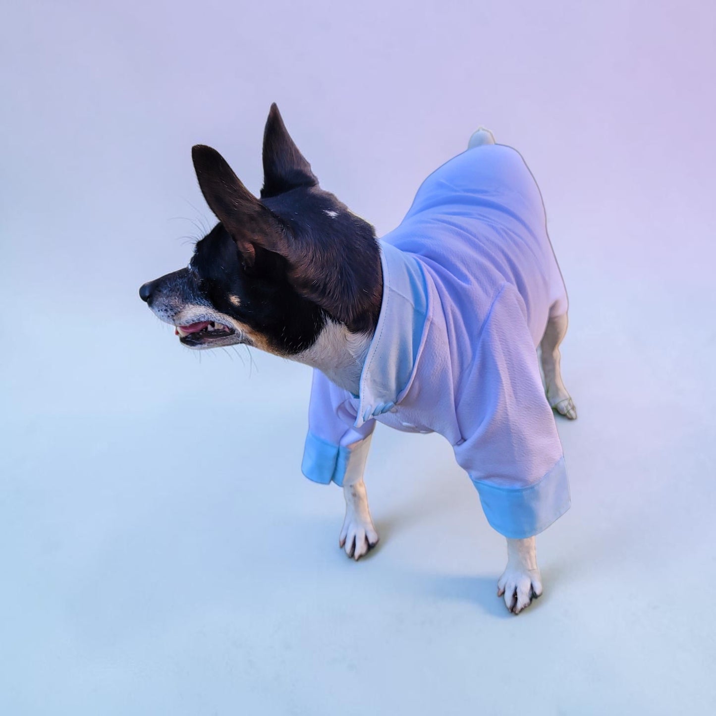 Tyler Pet Costume, Tyler Wednesday dog suit, Raven Pet Suit, Prom Pet Suit, prom dog suit, white Pet suit, wedding Pet suit, suit for pets