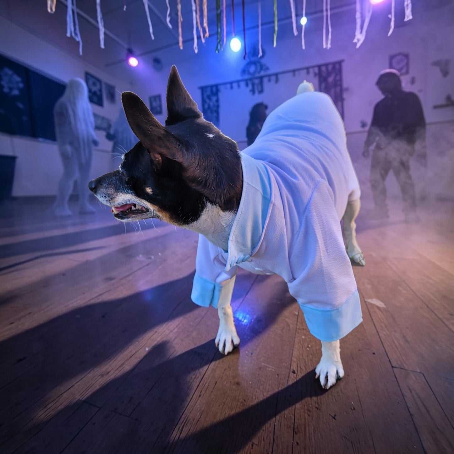 Tyler Pet Costume, Tyler Wednesday dog suit, Raven Pet Suit, Prom Pet Suit, prom dog suit, white Pet suit, wedding Pet suit, suit for pets