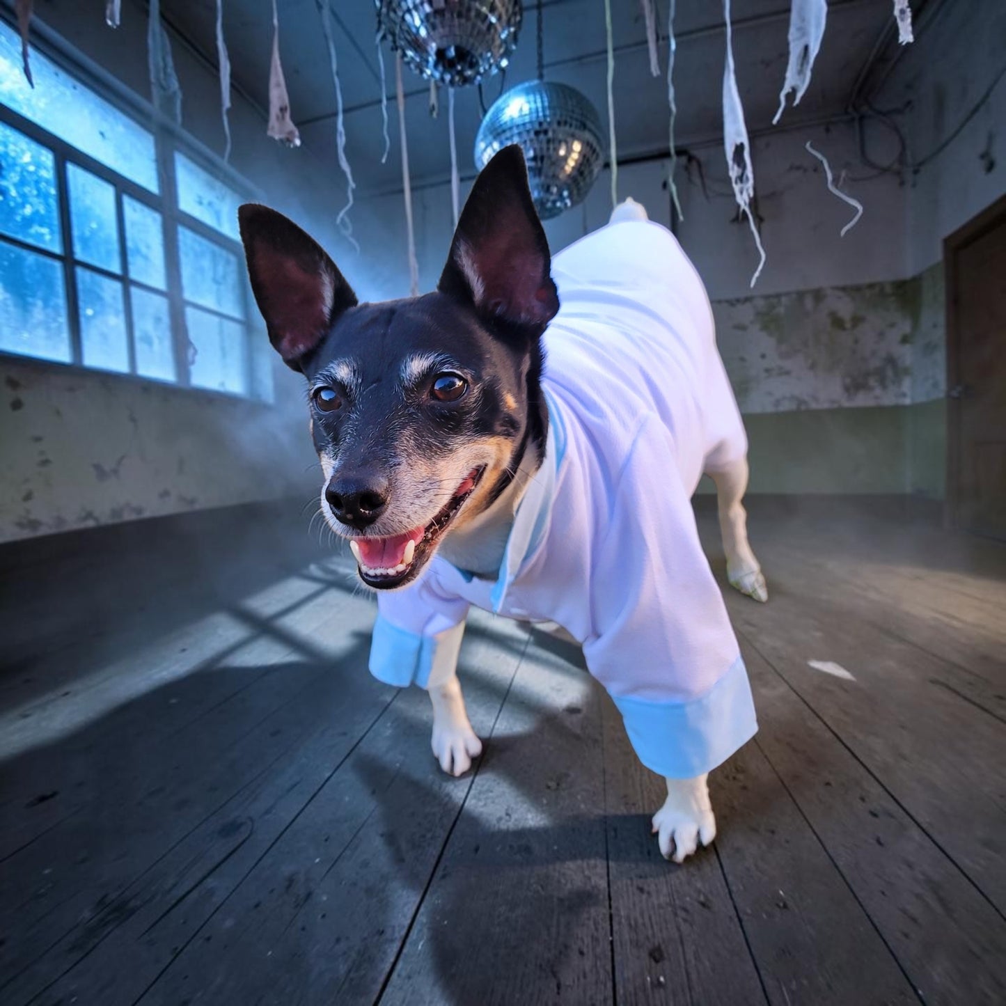 Tyler Pet Costume, Tyler Wednesday dog suit, Raven Pet Suit, Prom Pet Suit, prom dog suit, white Pet suit, wedding Pet suit, suit for pets