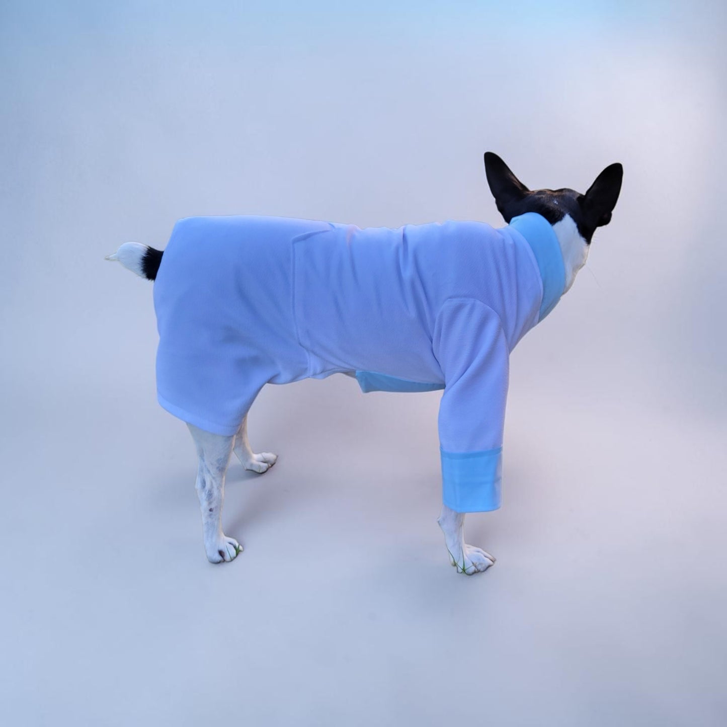 Tyler Pet Costume, Tyler Wednesday dog suit, Raven Pet Suit, Prom Pet Suit, prom dog suit, white Pet suit, wedding Pet suit, suit for pets