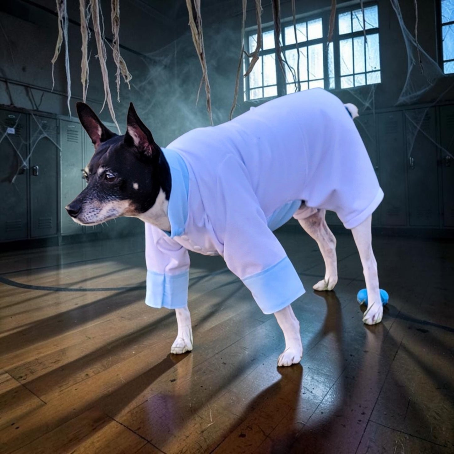 Tyler Pet Costume, Tyler Wednesday dog suit, Raven Pet Suit, Prom Pet Suit, prom dog suit, white Pet suit, wedding Pet suit, suit for pets
