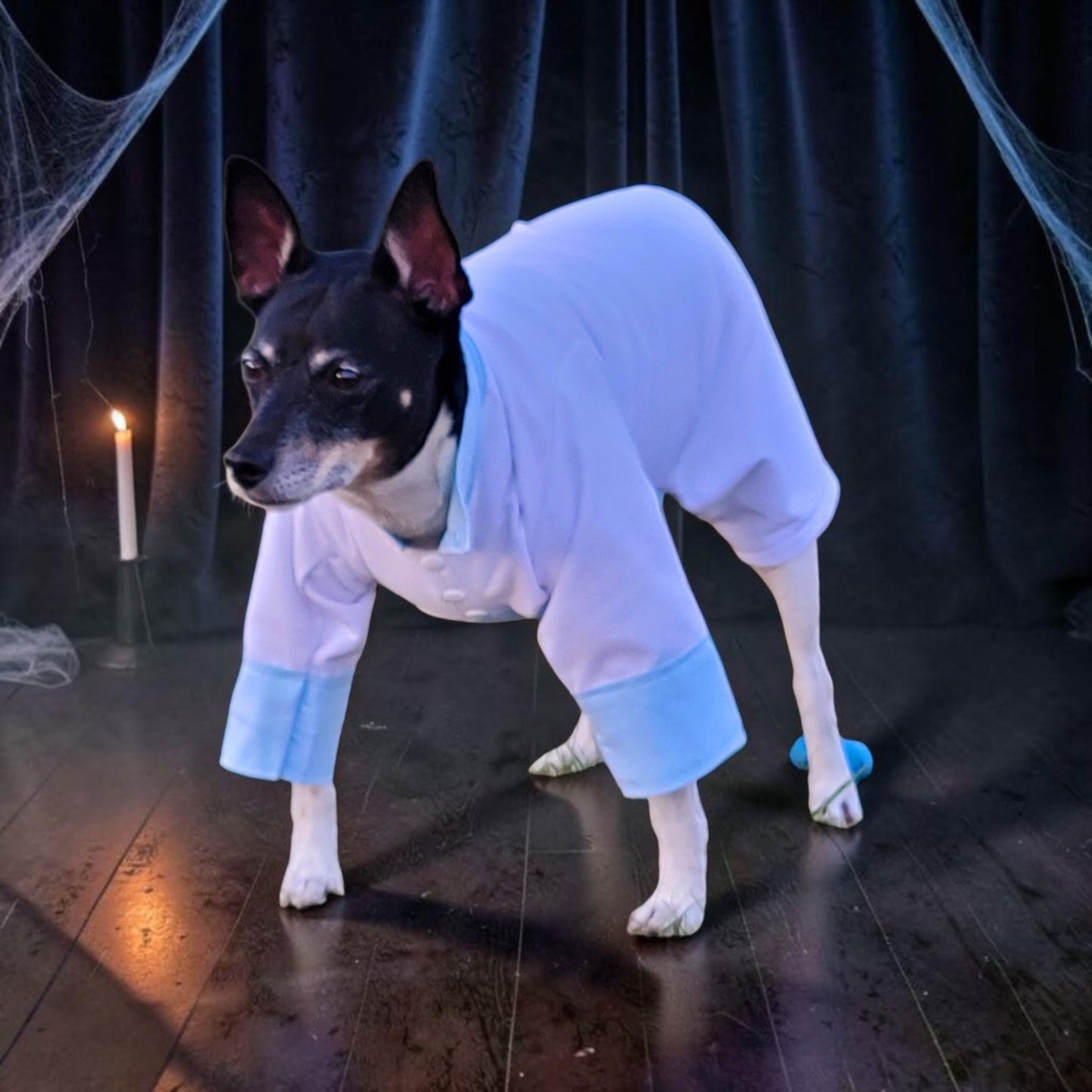 Tyler Pet Costume, Tyler Wednesday dog suit, Raven Pet Suit, Prom Pet Suit, prom dog suit, white Pet suit, wedding Pet suit, suit for pets