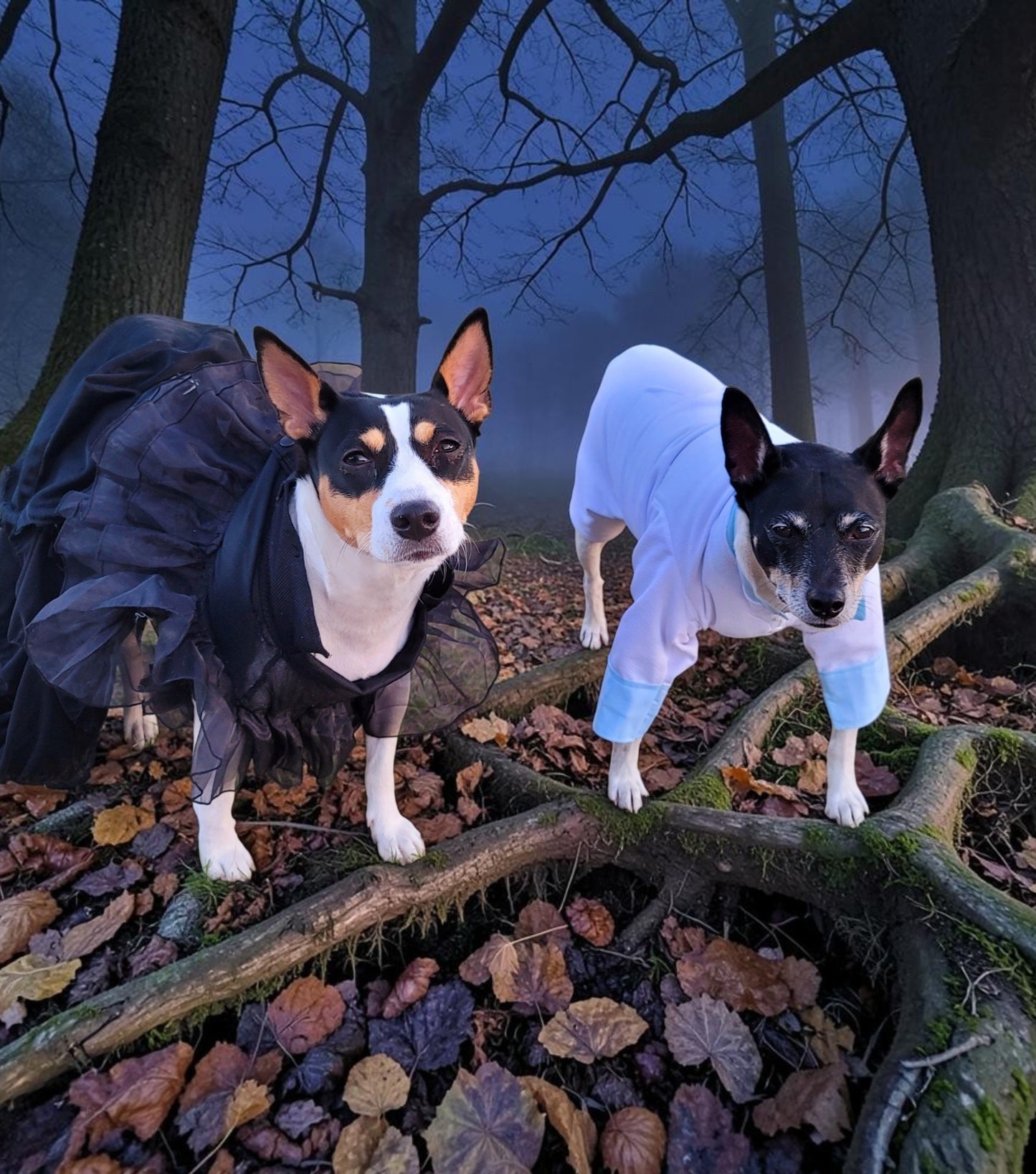 Tyler Pet Costume, Tyler Wednesday dog suit, Raven Pet Suit, Prom Pet Suit, prom dog suit, white Pet suit, wedding Pet suit, suit for pets