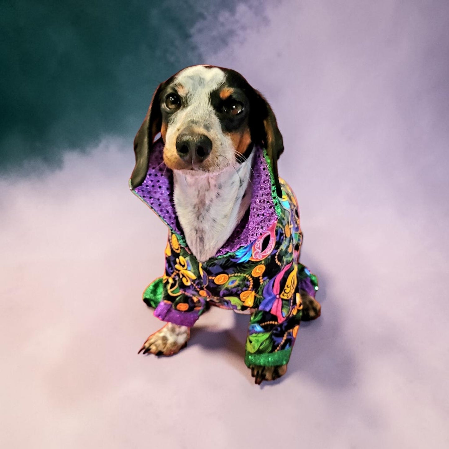 Mardi Gras Pet body suit, Mardi Gras sequin pet body suit, Mardi Gras Pet costume