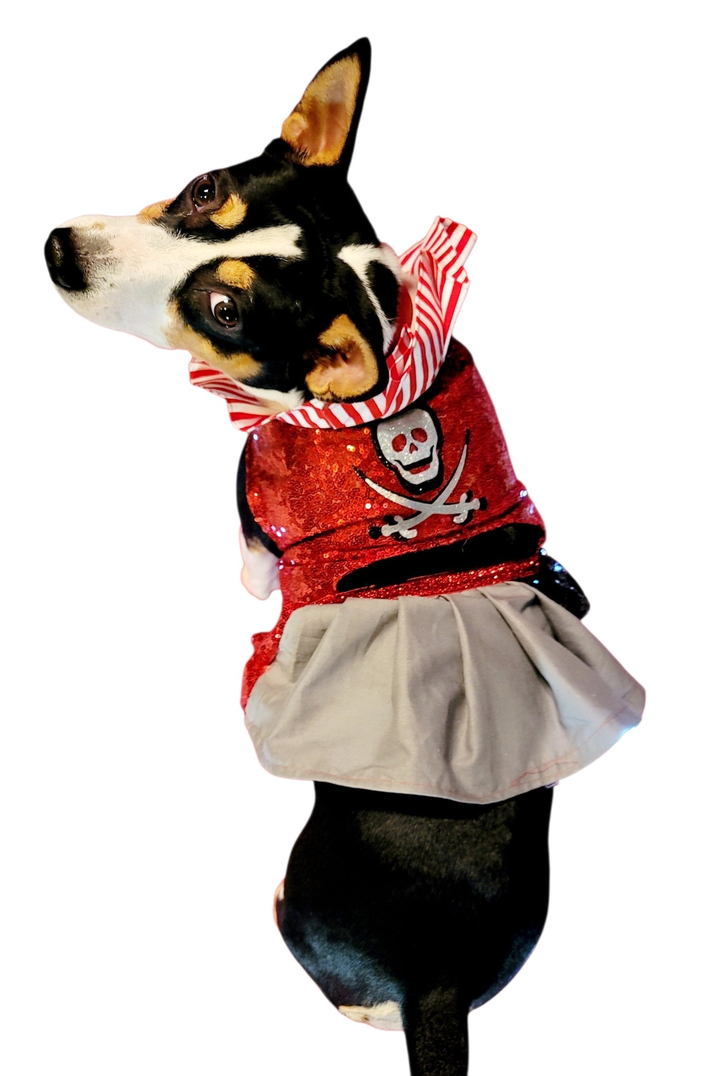 Pet Pirate female Costume, Dog Pirate Costume, Pirate pet costume, Pirate cat costume, female Pirate pet, Pirate pet dress