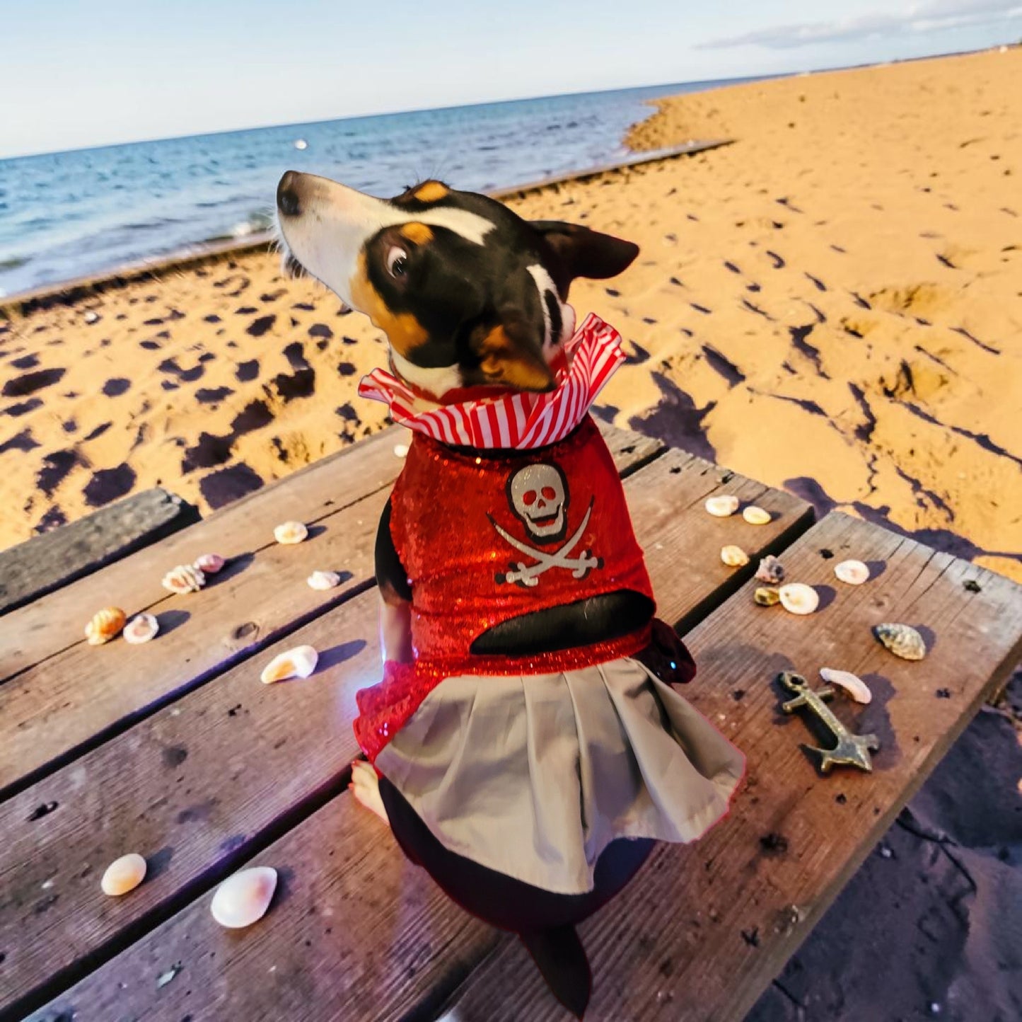 Pet Pirate female Costume, Dog Pirate Costume, Pirate pet costume, Pirate cat costume, female Pirate pet, Pirate pet dress