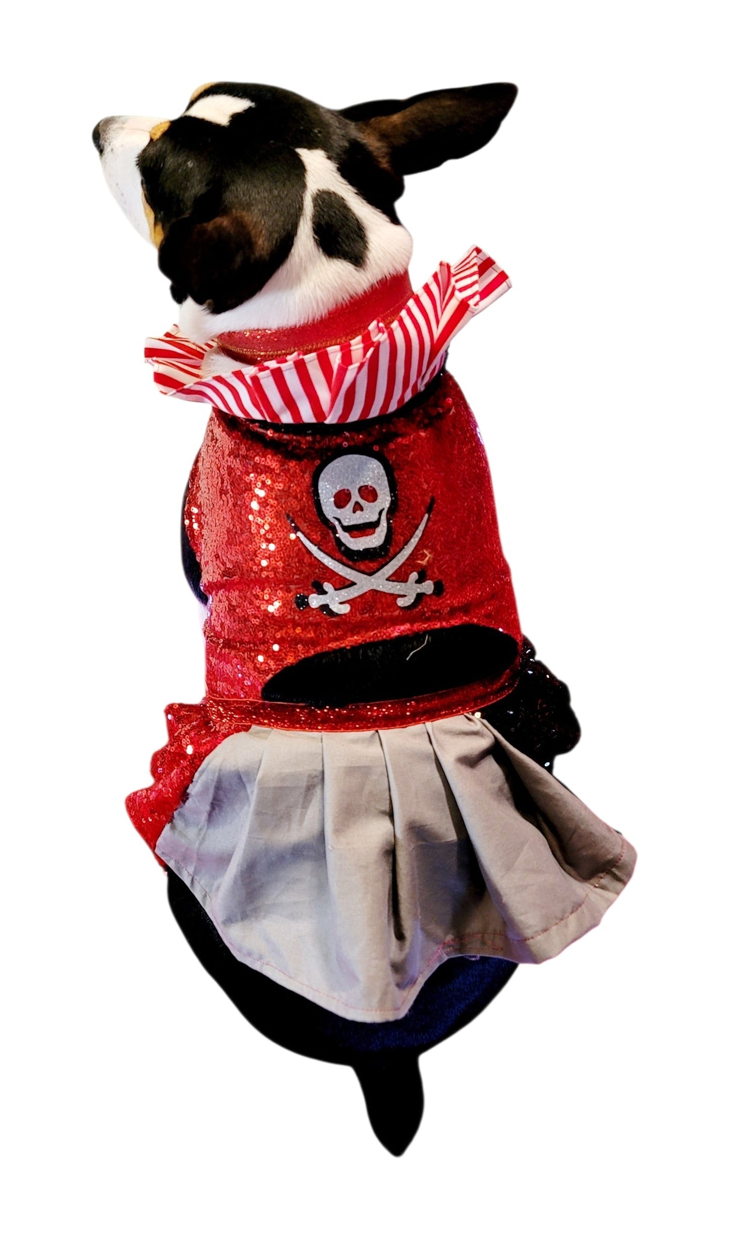 Pet Pirate female Costume, Dog Pirate Costume, Pirate pet costume, Pirate cat costume, female Pirate pet, Pirate pet dress