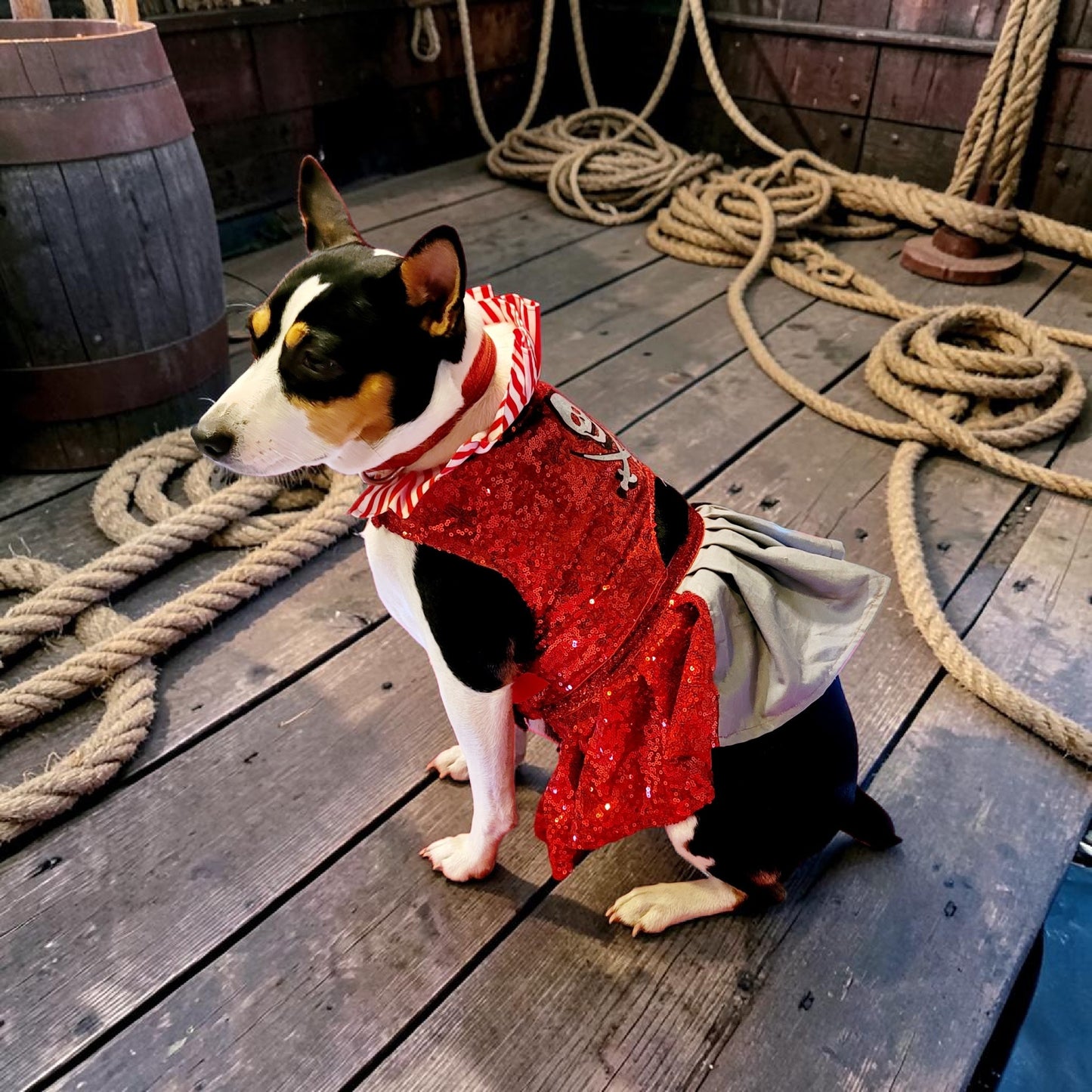 Pet Pirate female Costume, Dog Pirate Costume, Pirate pet costume, Pirate cat costume, female Pirate pet, Pirate pet dress