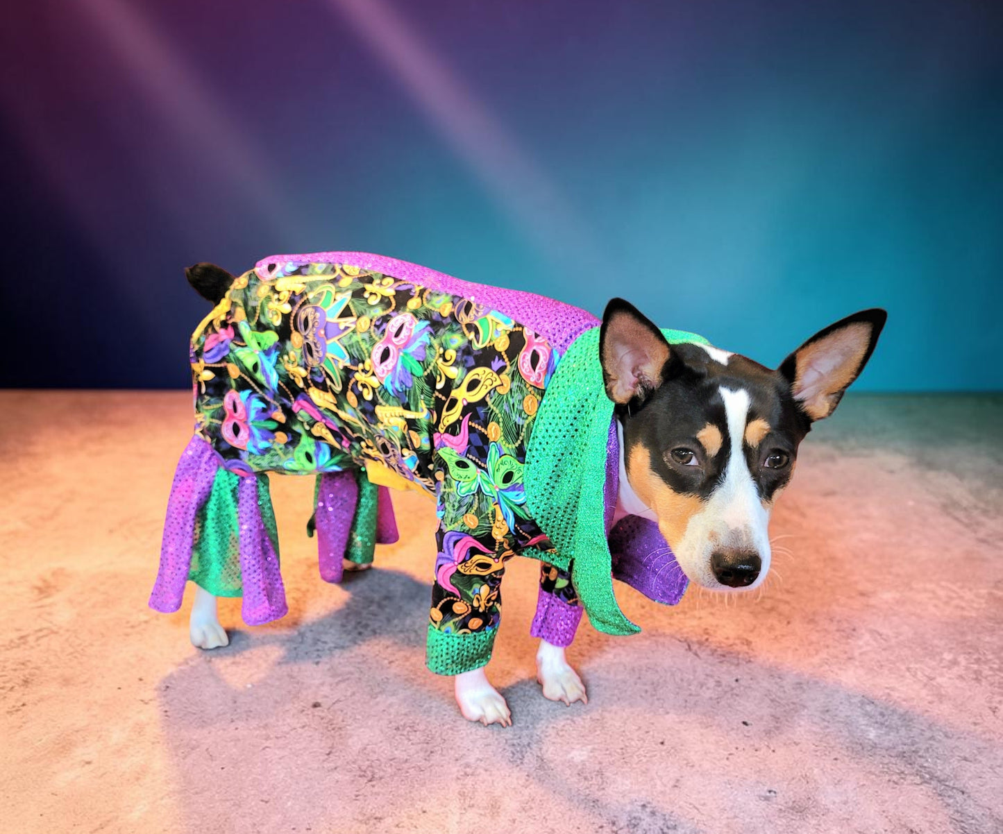 Mardi Gras Pet body suit, Mardi Gras sequin pet body suit, Mardi Gras Pet costume
